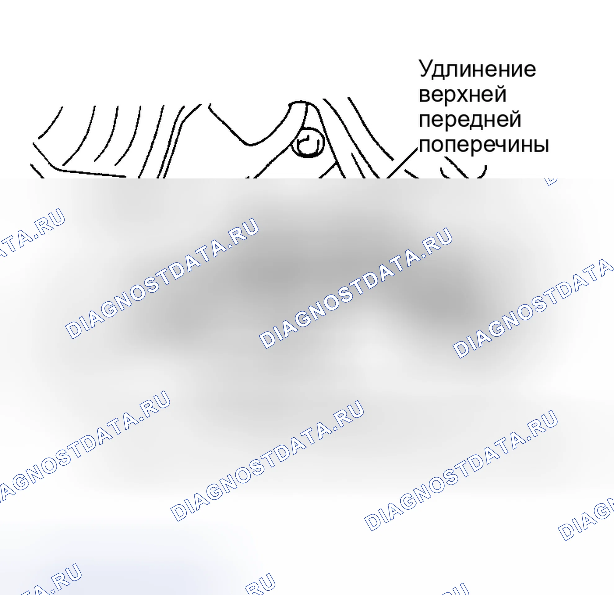 Рис. 25. Toyota Supra A80