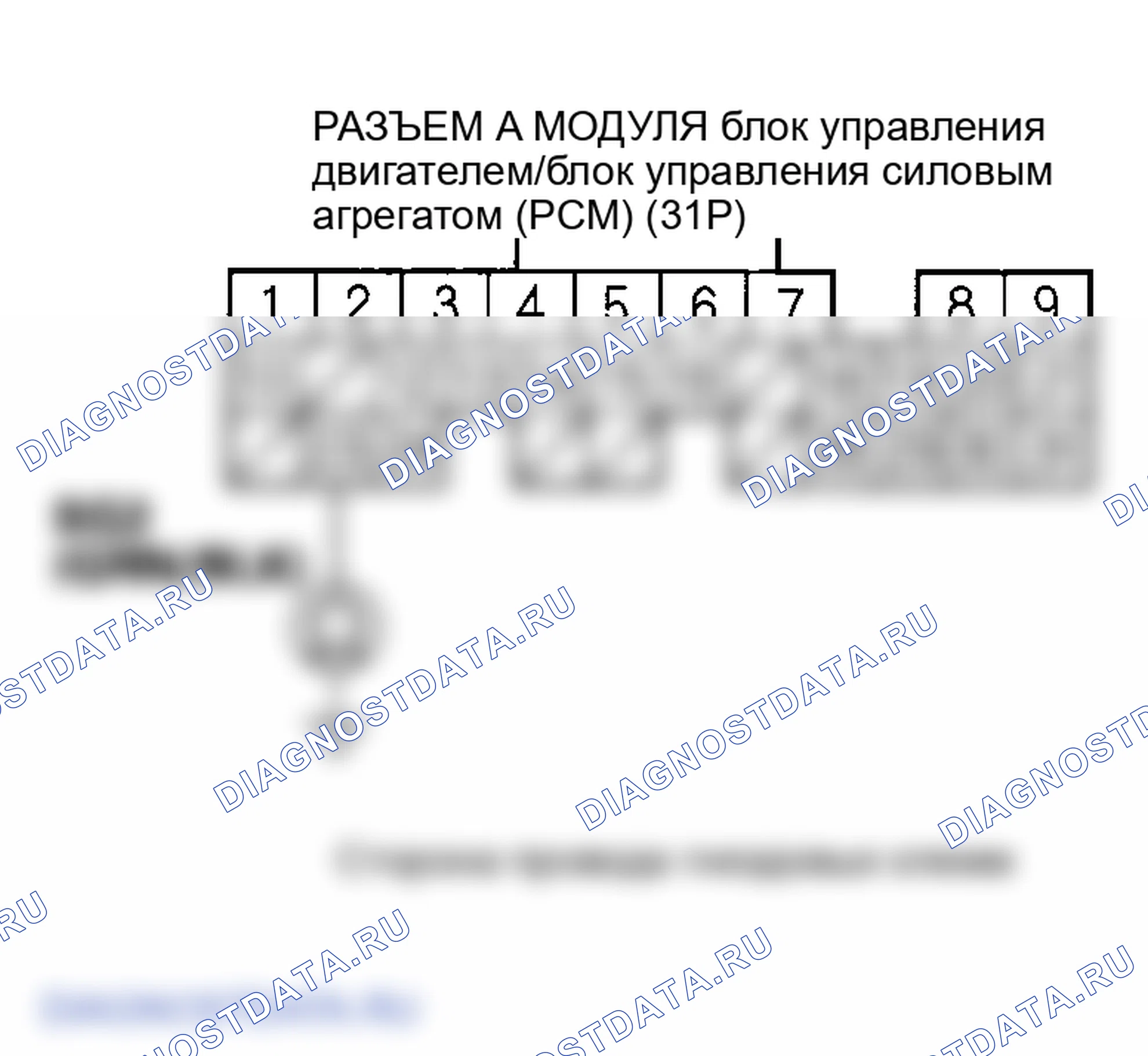 Рис. 71. Honda Element I