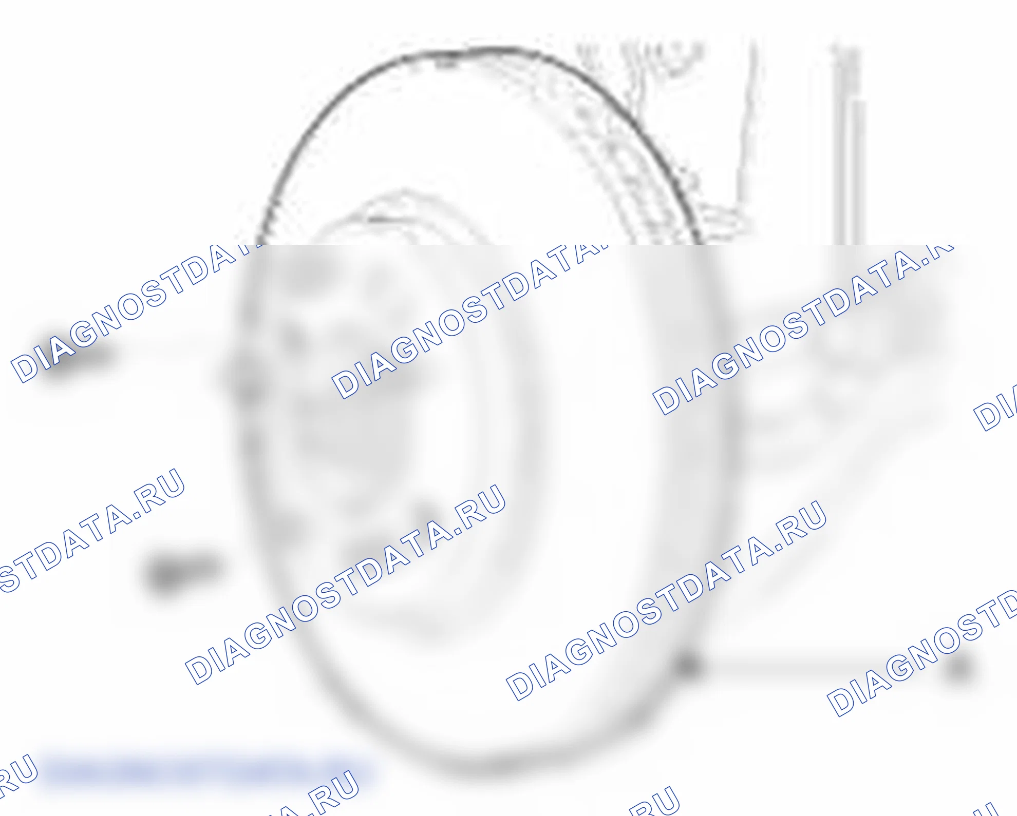 Рис. 6. Kia Soul I