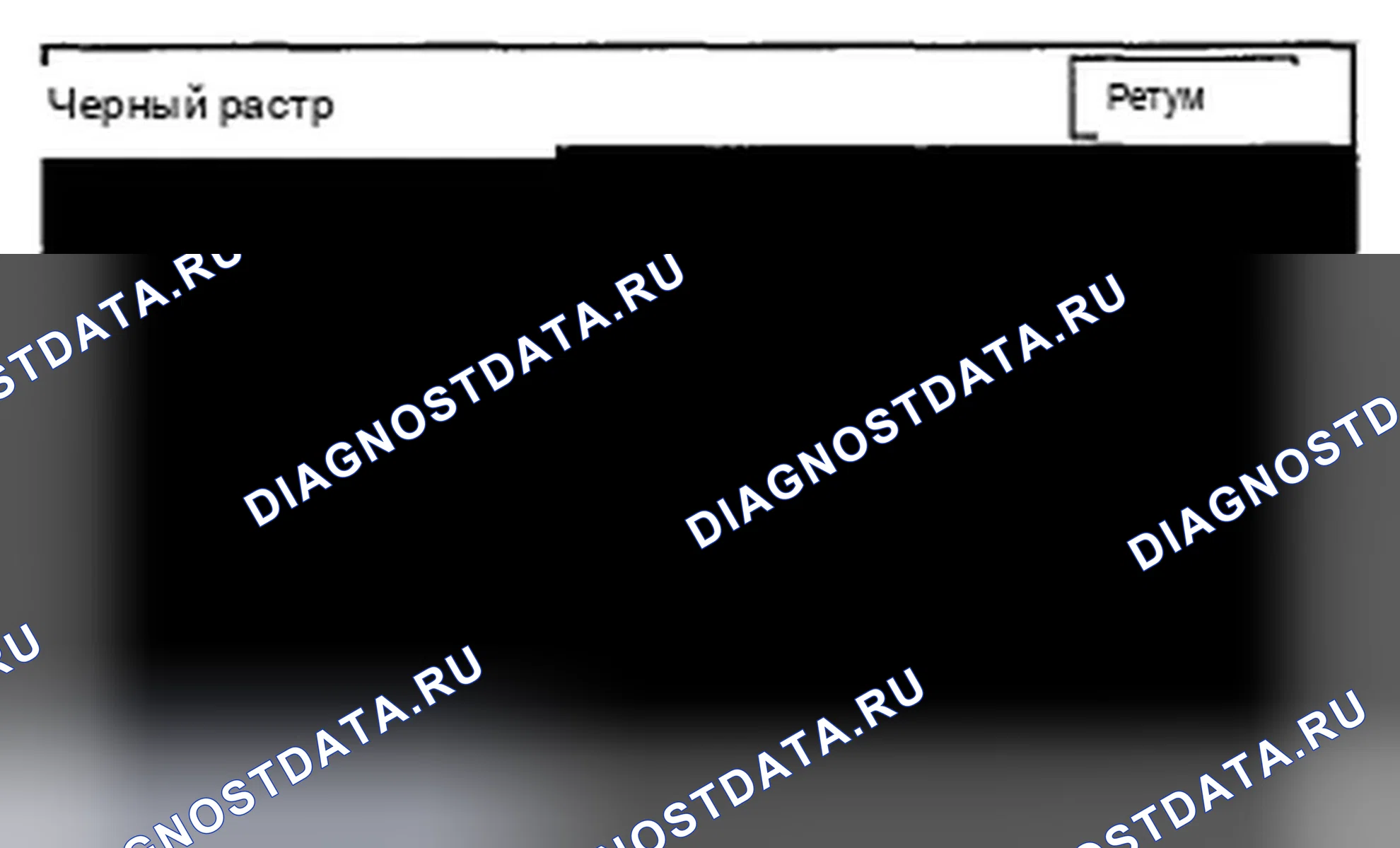 Рис. 427: Черный растр. Acura TSX II