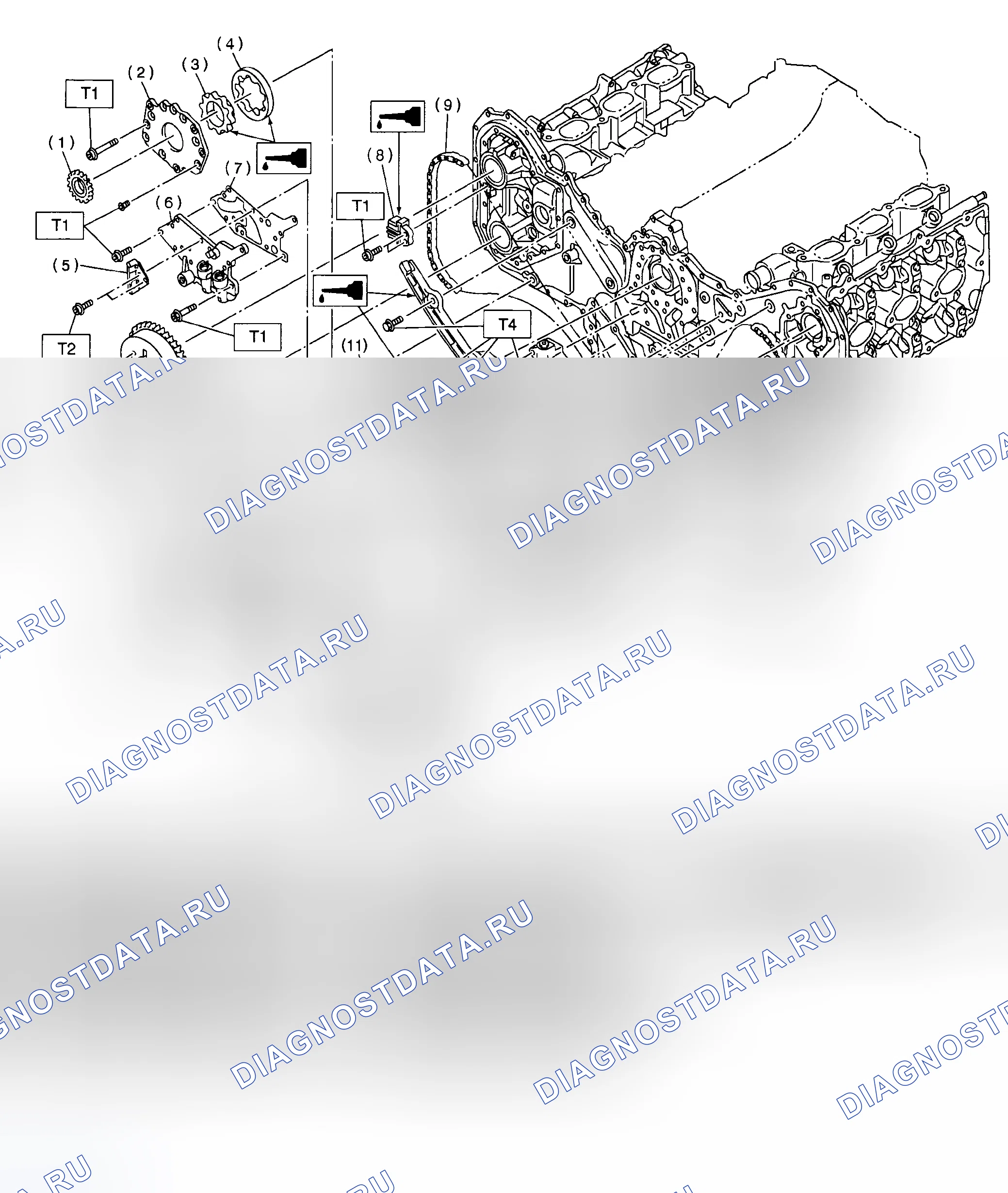 Рис. 27: Разнесенный вид зубчатого ремня. Subaru Outback BH
