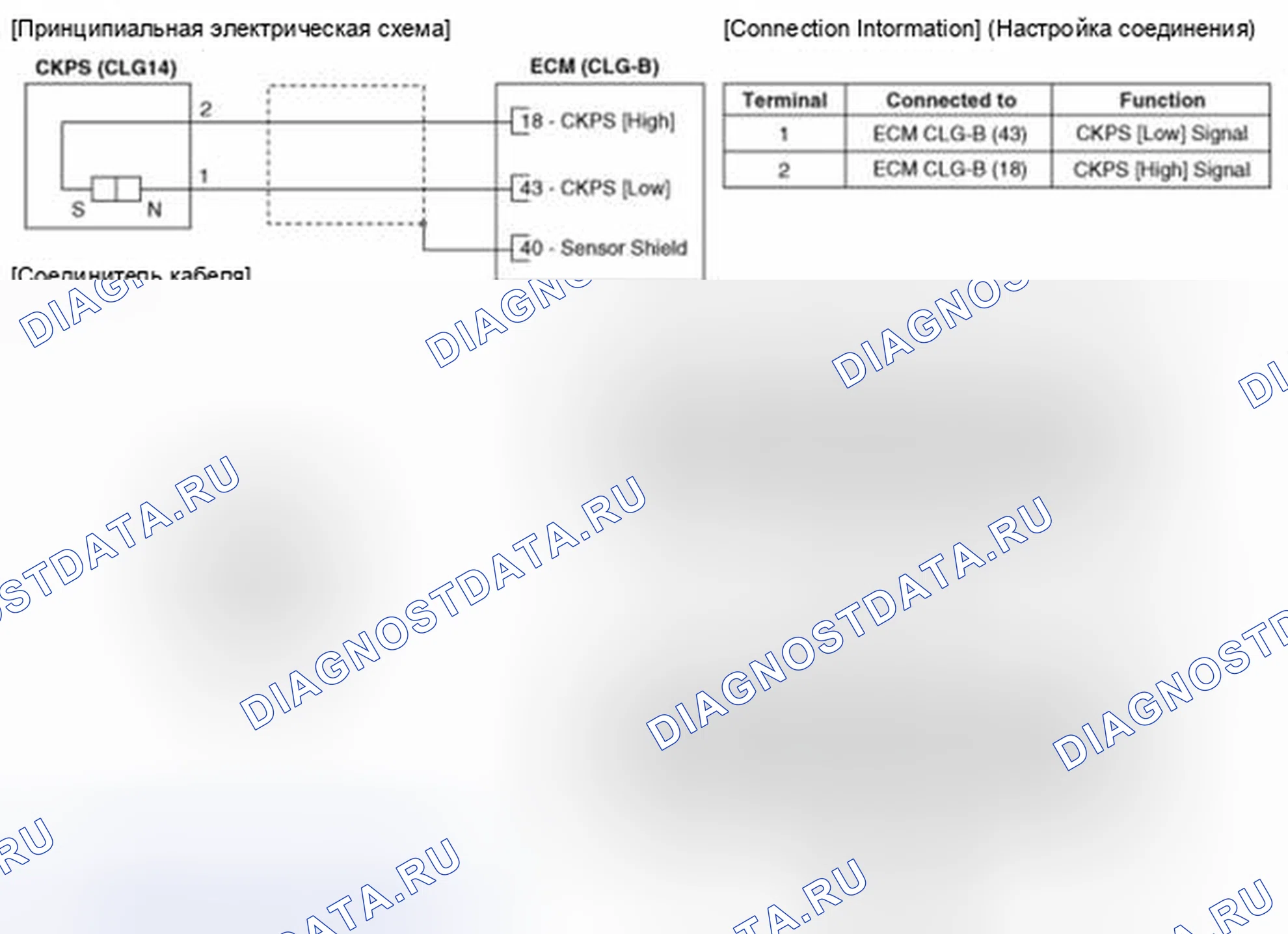 Рис. 181: Принципиальная схема. Hyundai Santa Fe II рестайлинг