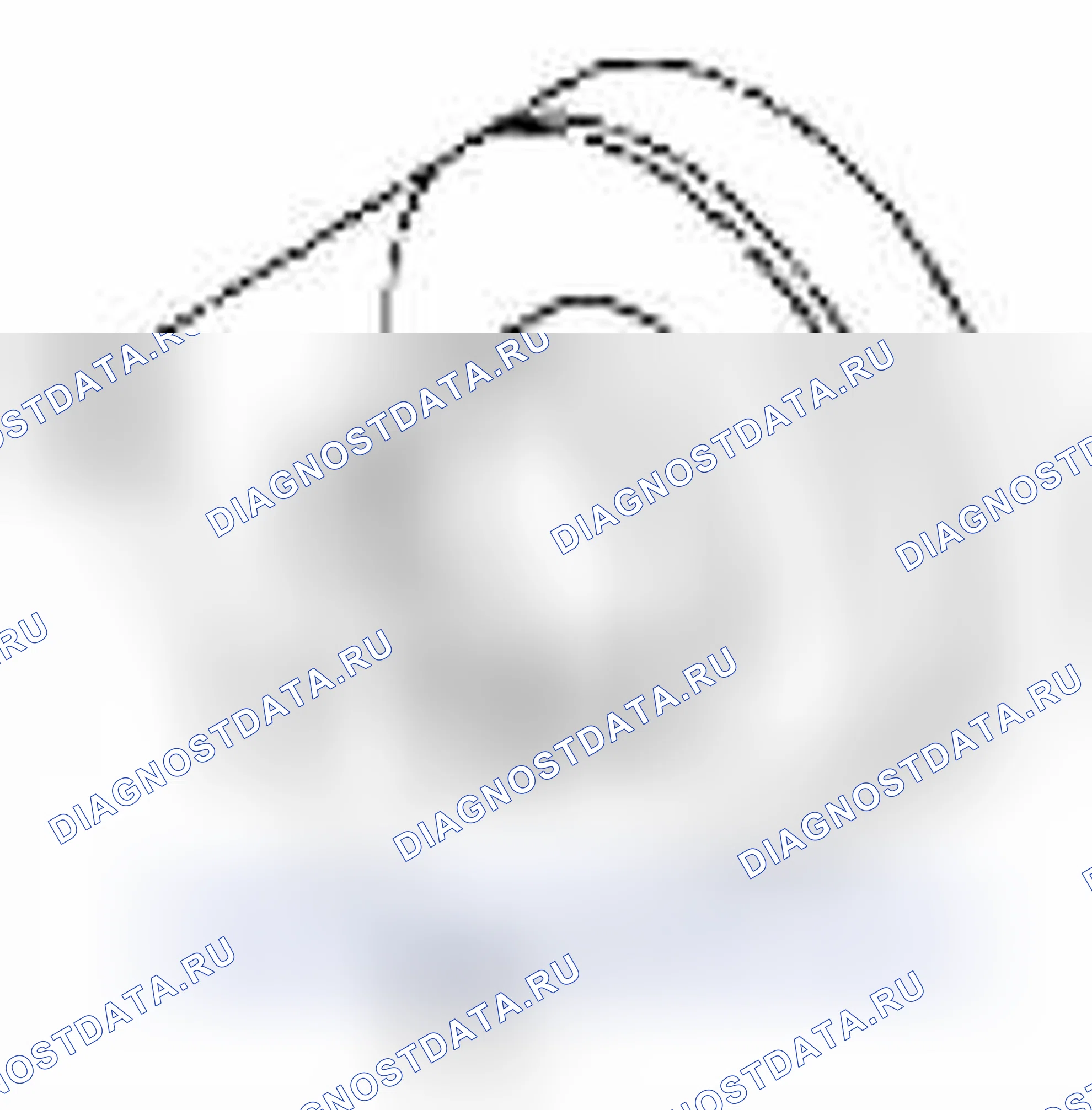 Рис. 327. Suzuki Equator I