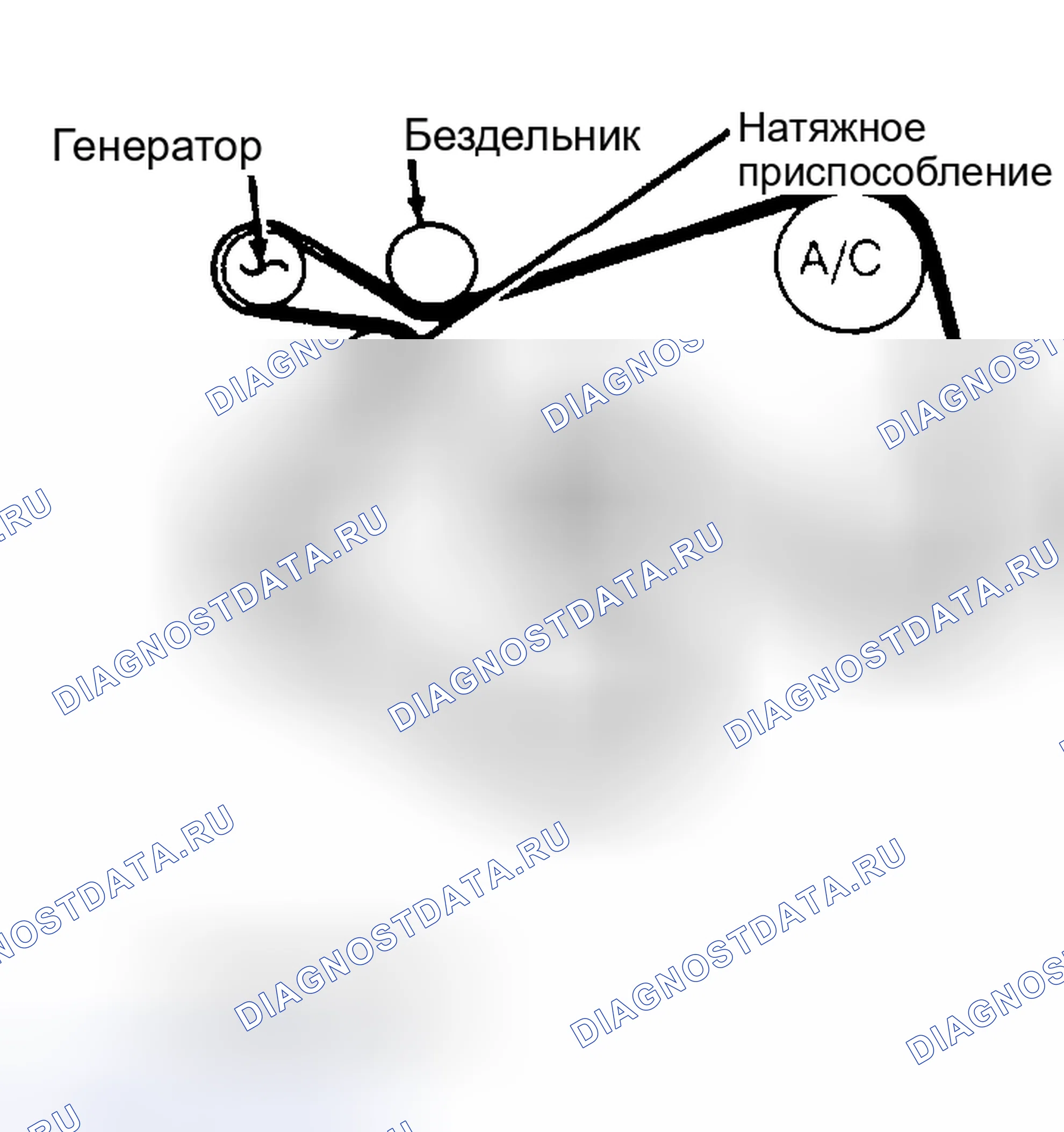 Рис. 2: Трассировка приводного ремня (5.0L и 5.8L). Ford Cab & Chassis F350 