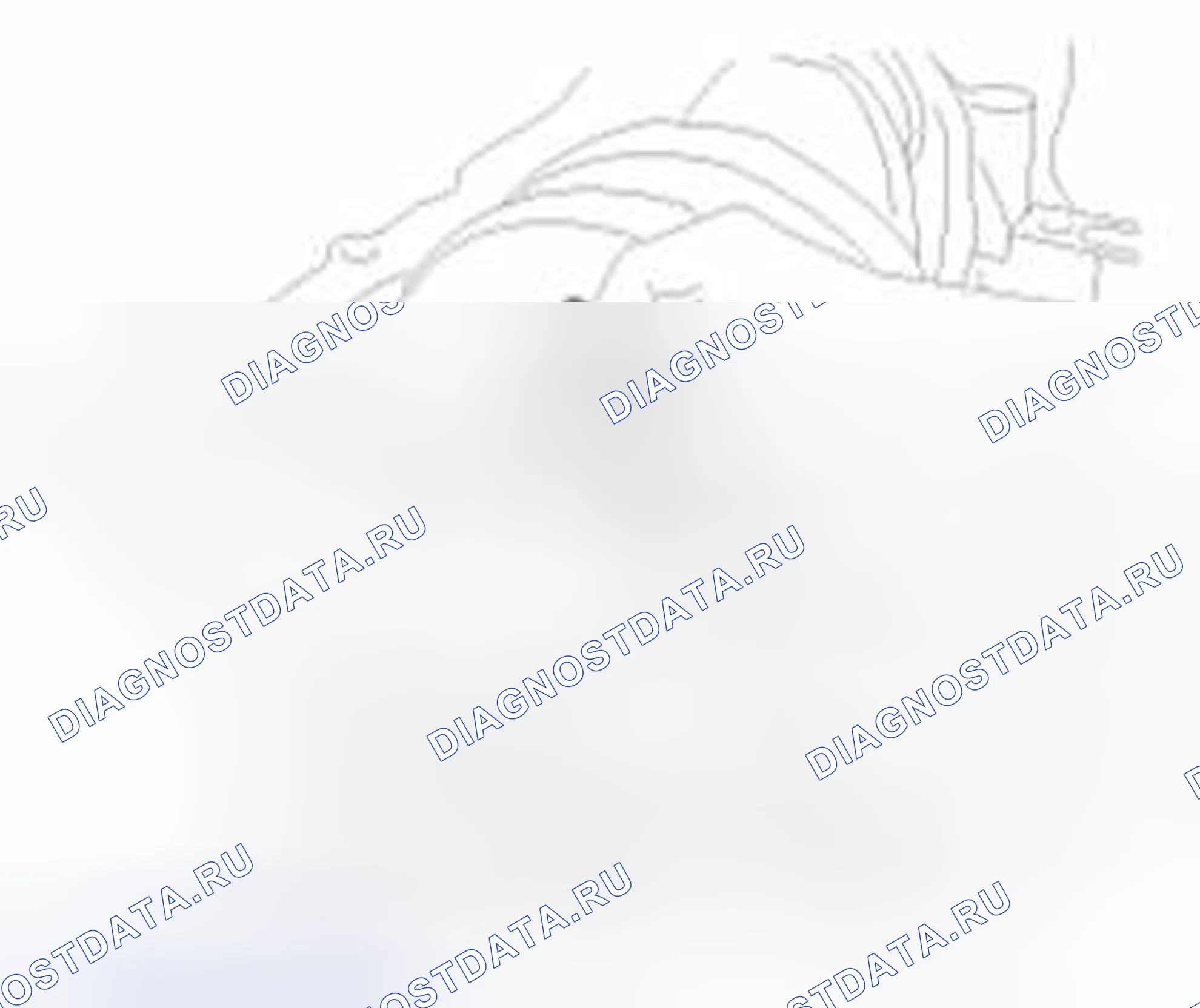 Рис. 190. Geely SC7 I