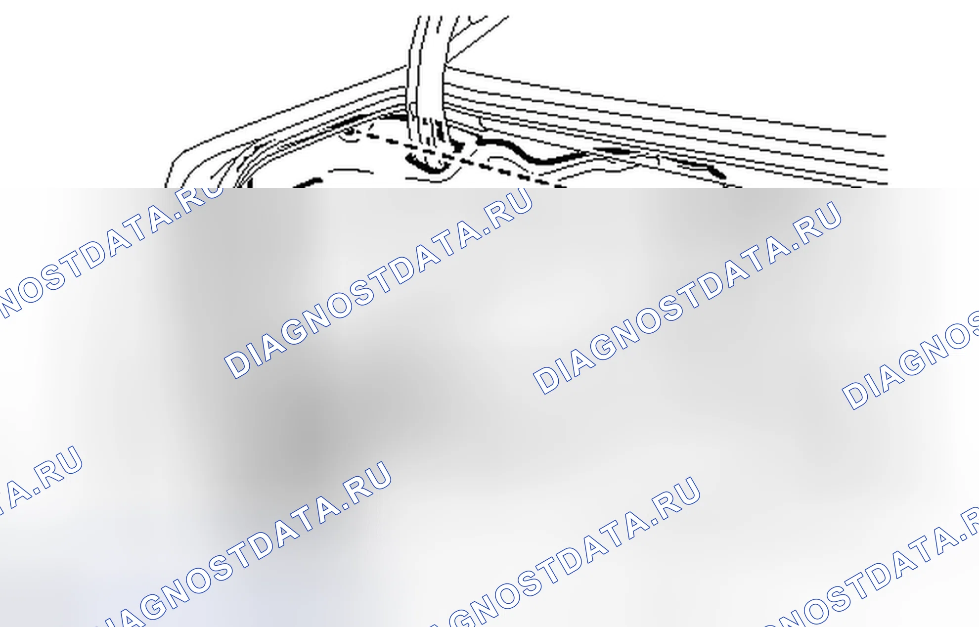Рис. 89. Toyota Avalon XX30 рестайлинг 2