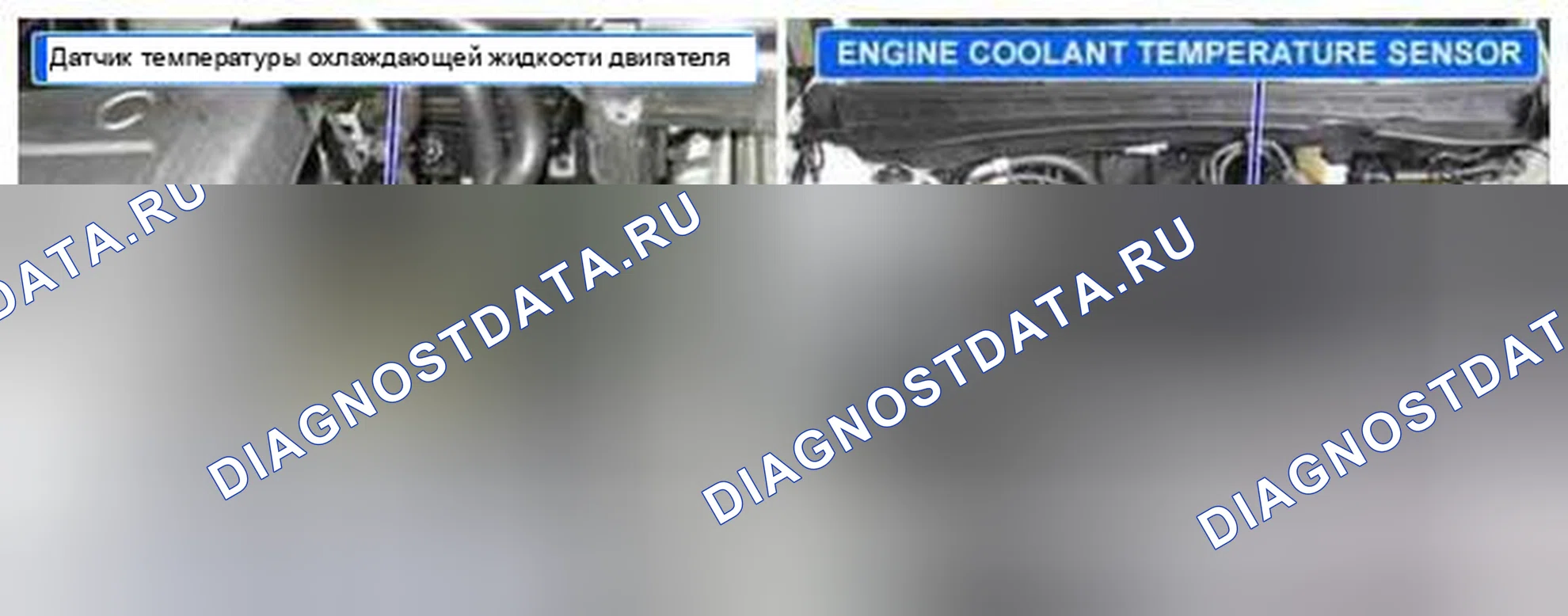 Рис. 232: Расположение компонентов. Haval Beast (Shenshou) I