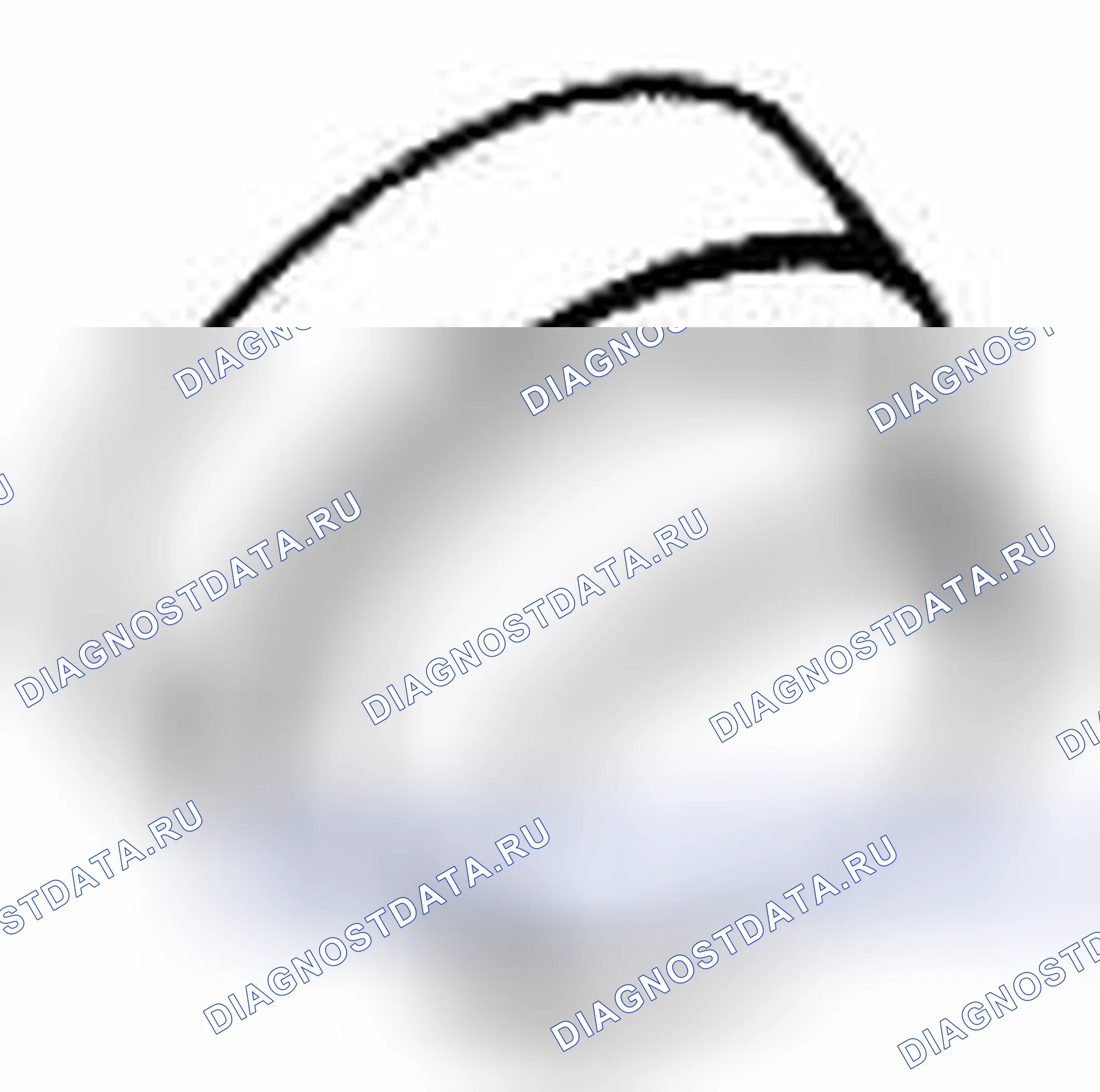 Рис. 171. Suzuki Grand Vitara II рестайлинг 2