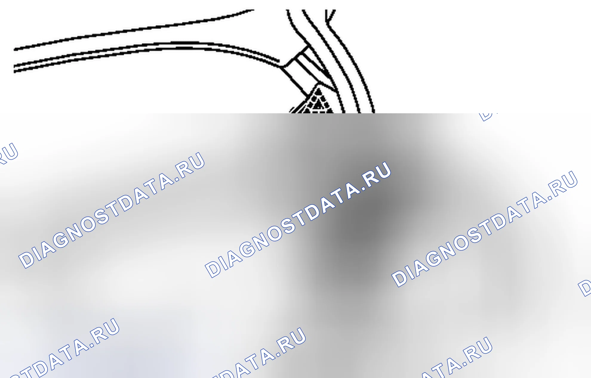 Рис. 26: ДЕМОНТАЖ. Honda Accord IV