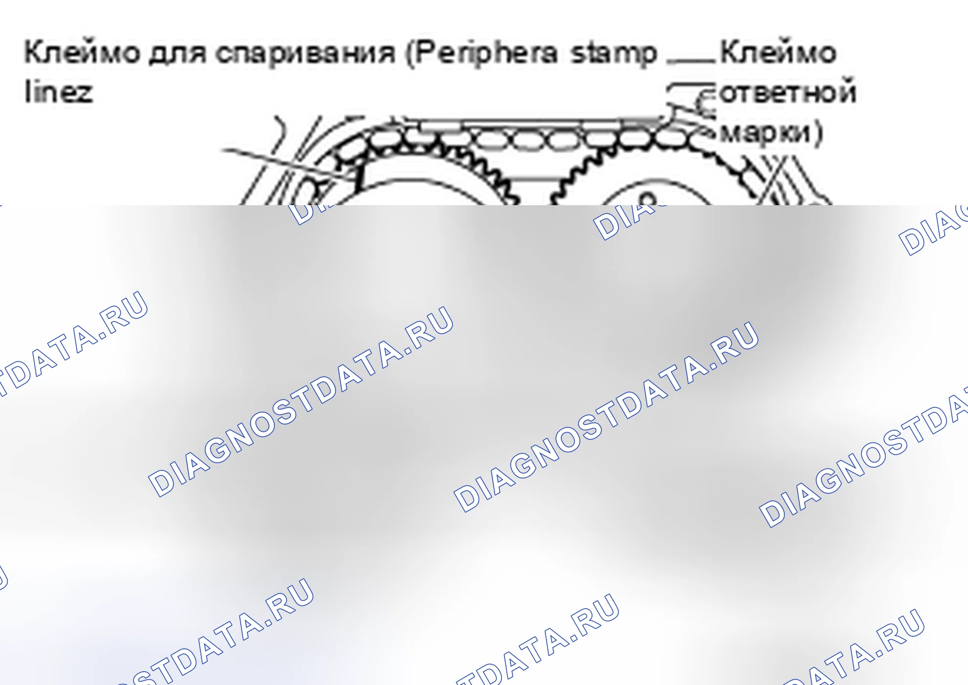 Рис. 586. Nissan Altima L32 рестайлинг