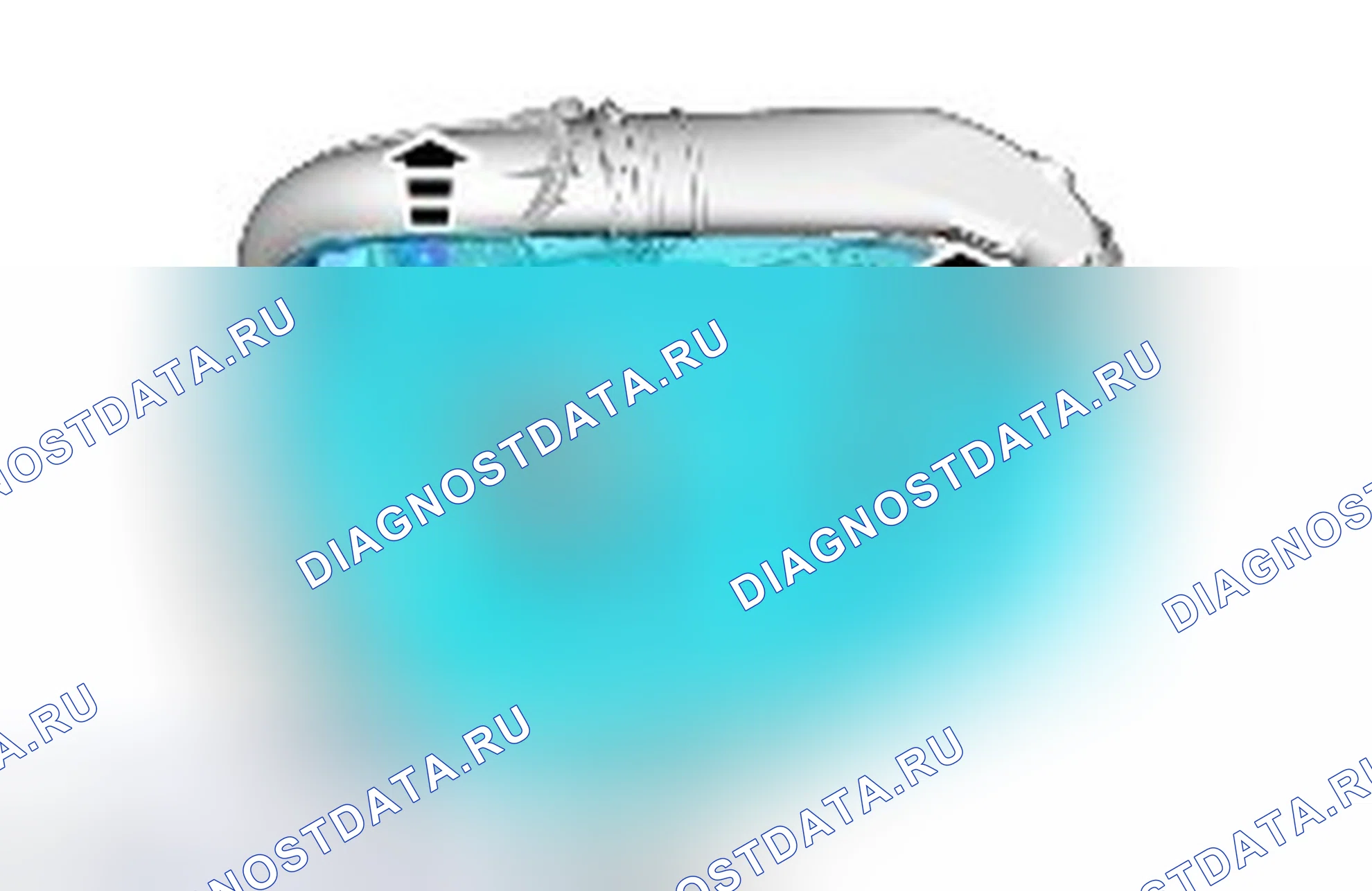 Диагностика двигателя. Ford Kuga II