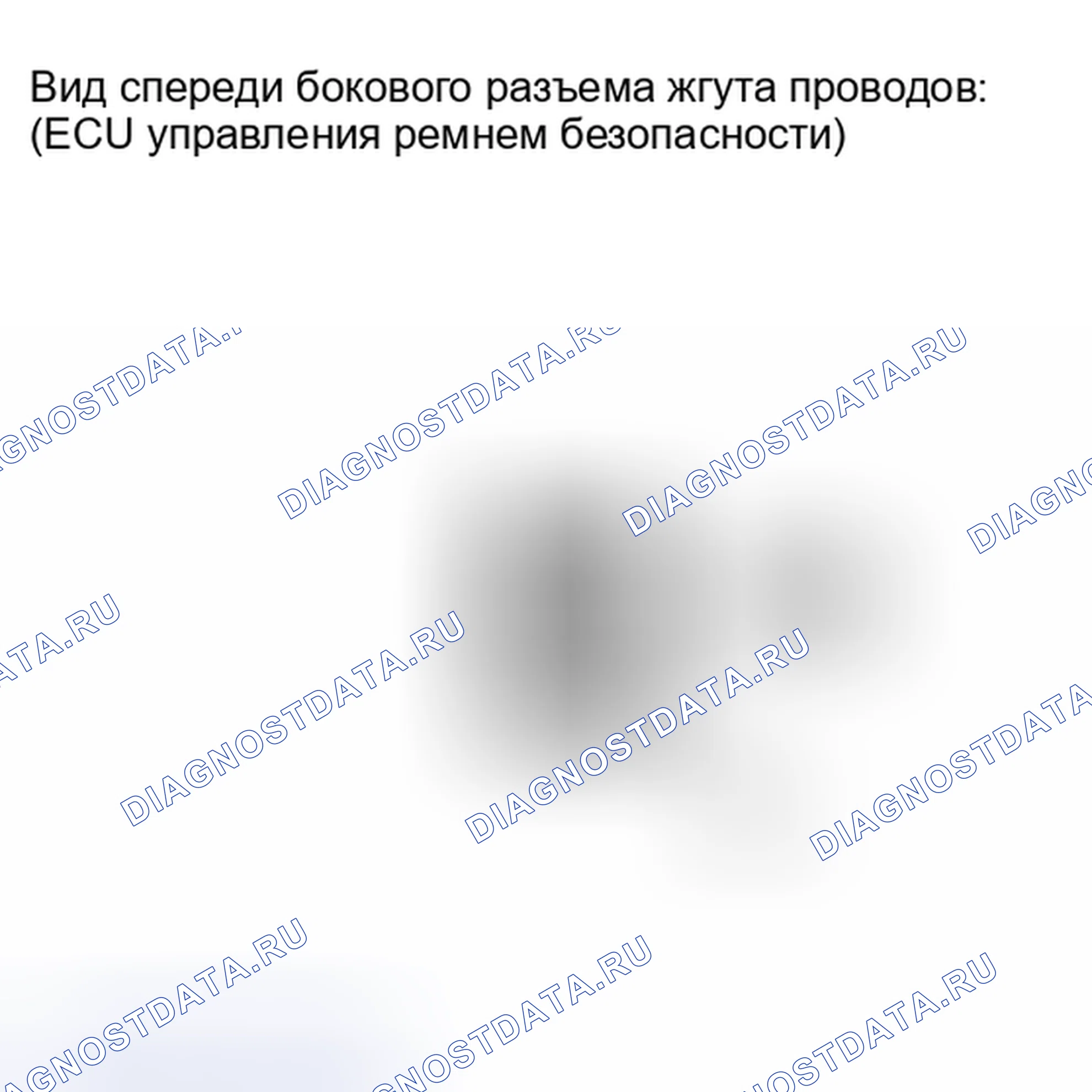 Рис. 81. Lexus IS F I
