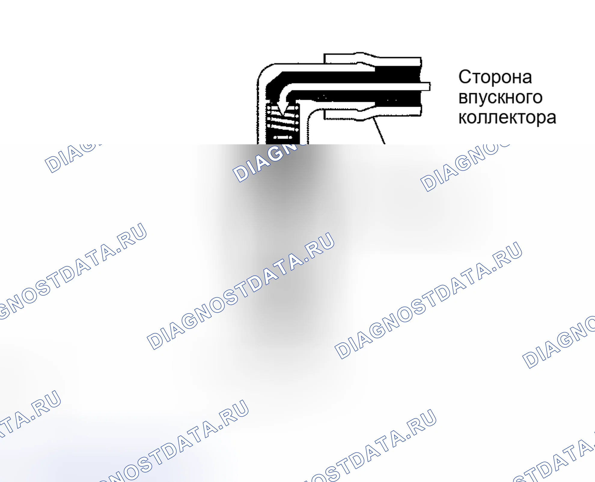 Рис. 5. Haval Xiaolong Max I