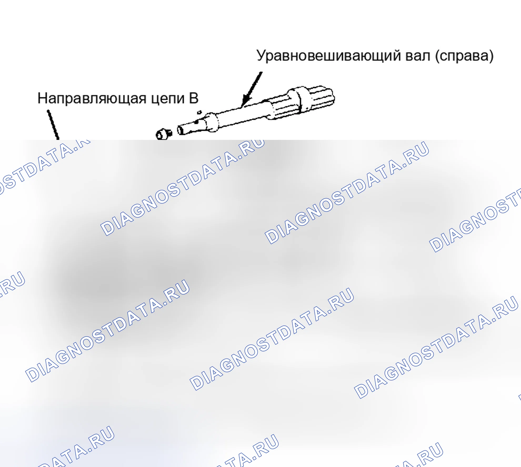 Рис. 4: Разнесенный вид уравновешивающих валов и приводной цепи Правый уравновешивающий вал приводится в движение масляным насосом.. Dodge Challenger II