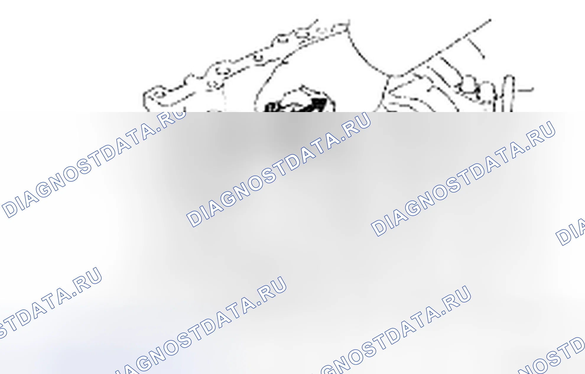 Рис. 610. Toyota 4Runner IV рестайлинг