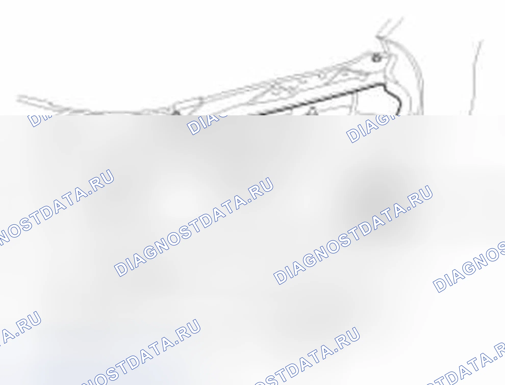 Рис. 42. Hyundai Equus II