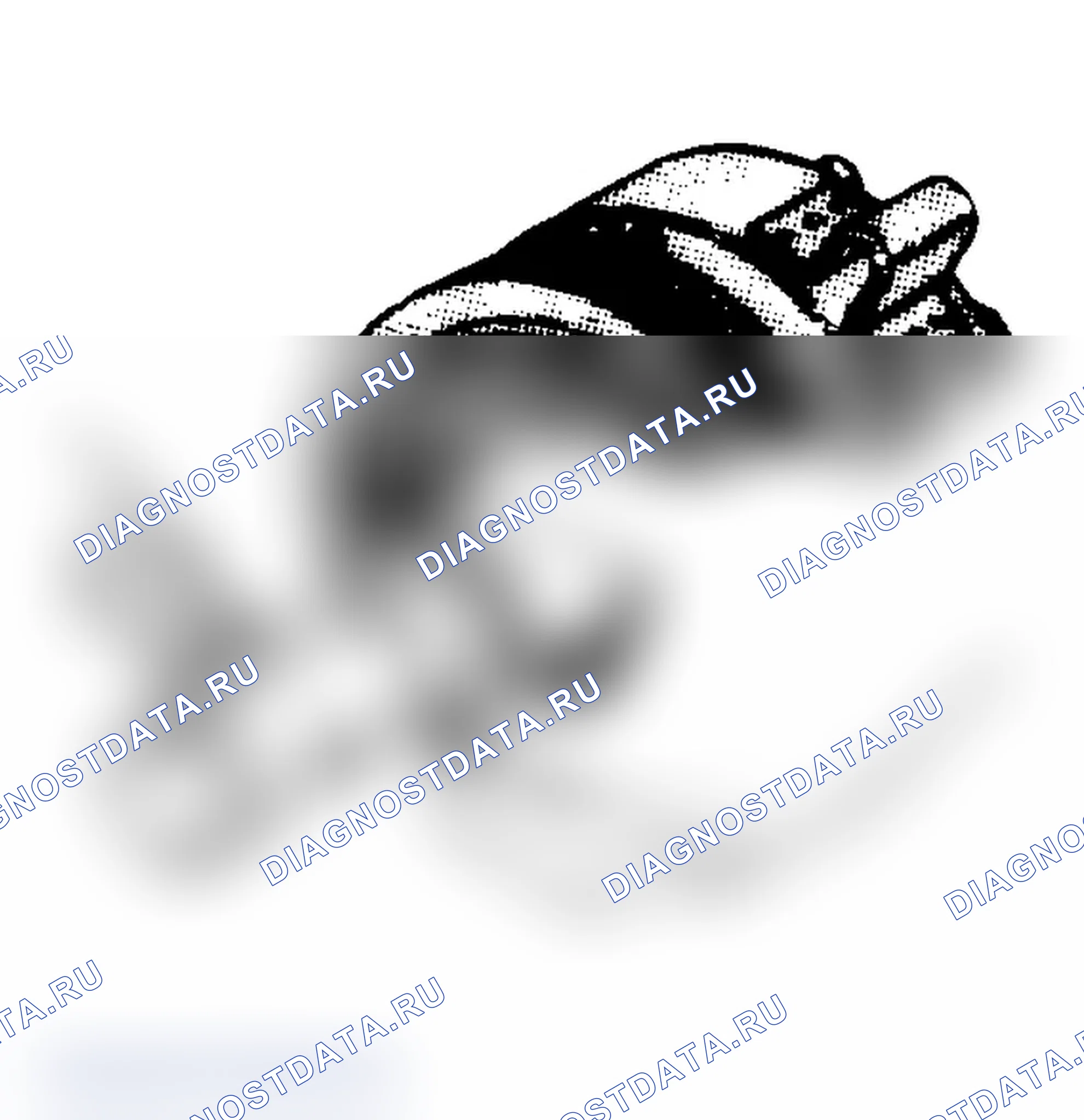 Рис. 25: Установка катушки, шкива и подшипника. Ford Cab & Chassis Ranger 