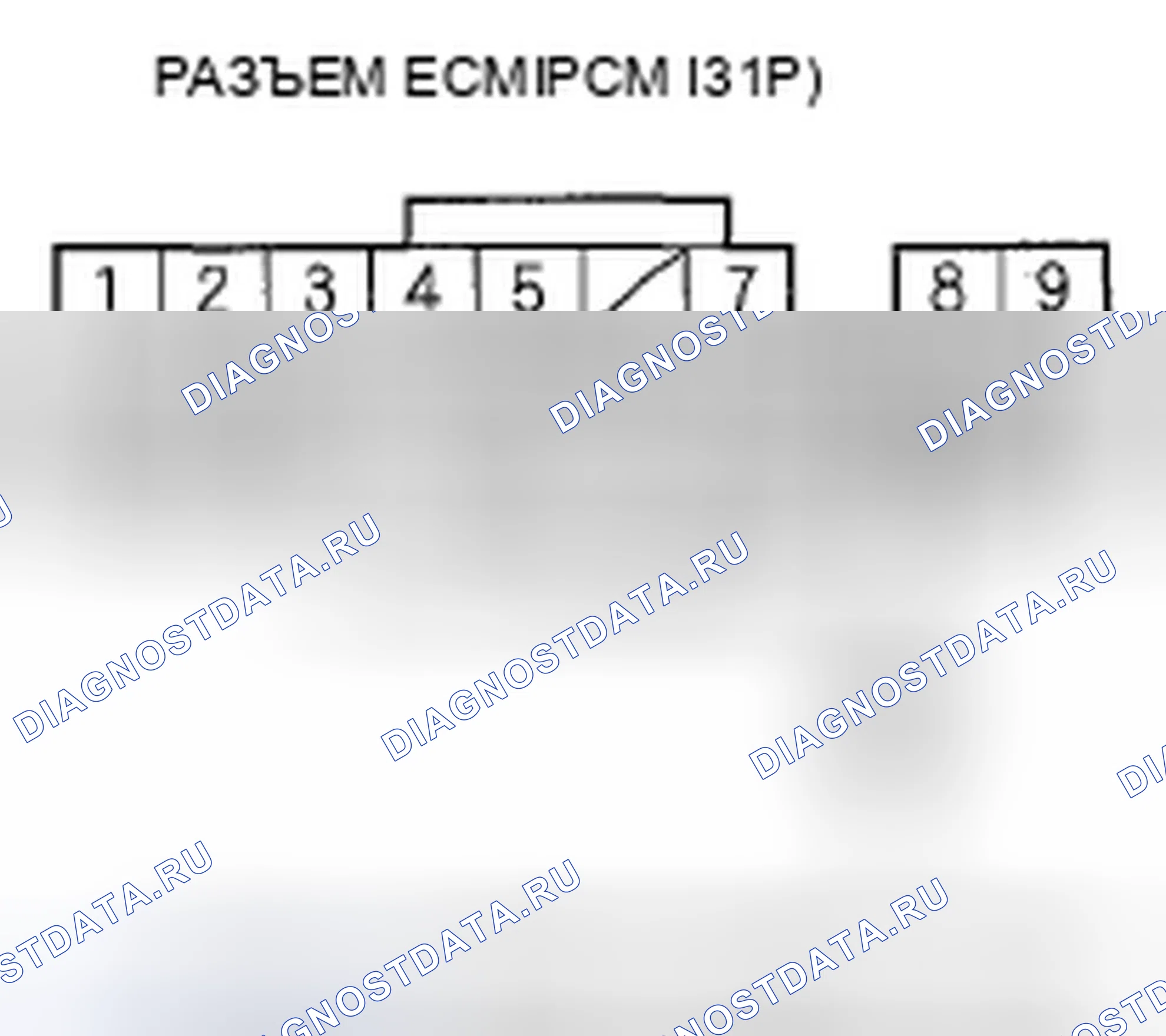 Рис. 49. Honda Element YH2 рестайлинг 2