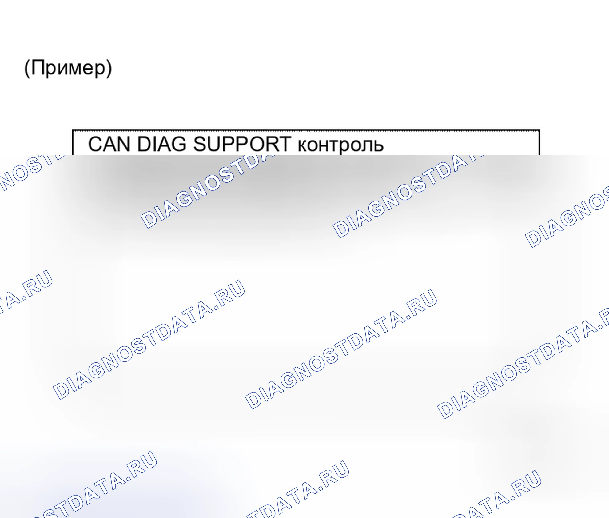 Рис. 28: ОПИСАНИЕ ЭКРАНА " CAN DIAG SUPPORT Mntr " ДЛЯ БЛОКА УПРАВЛЕНИЯ ДИСПЛЕЕМ. Honda S2000 I