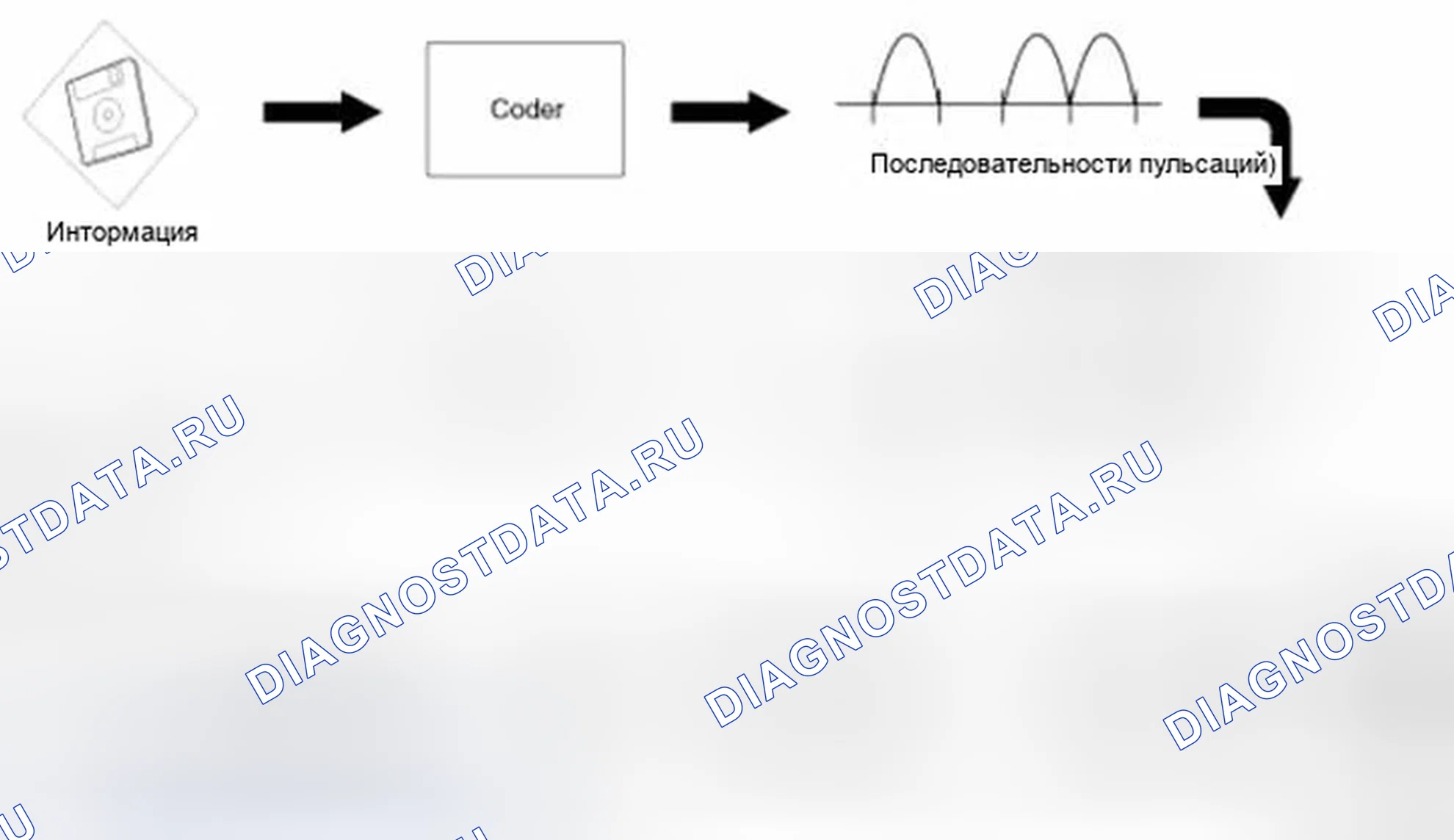 Рис. 7: Система транспортировки медиа-данных (MOST). Hyundai Equus II