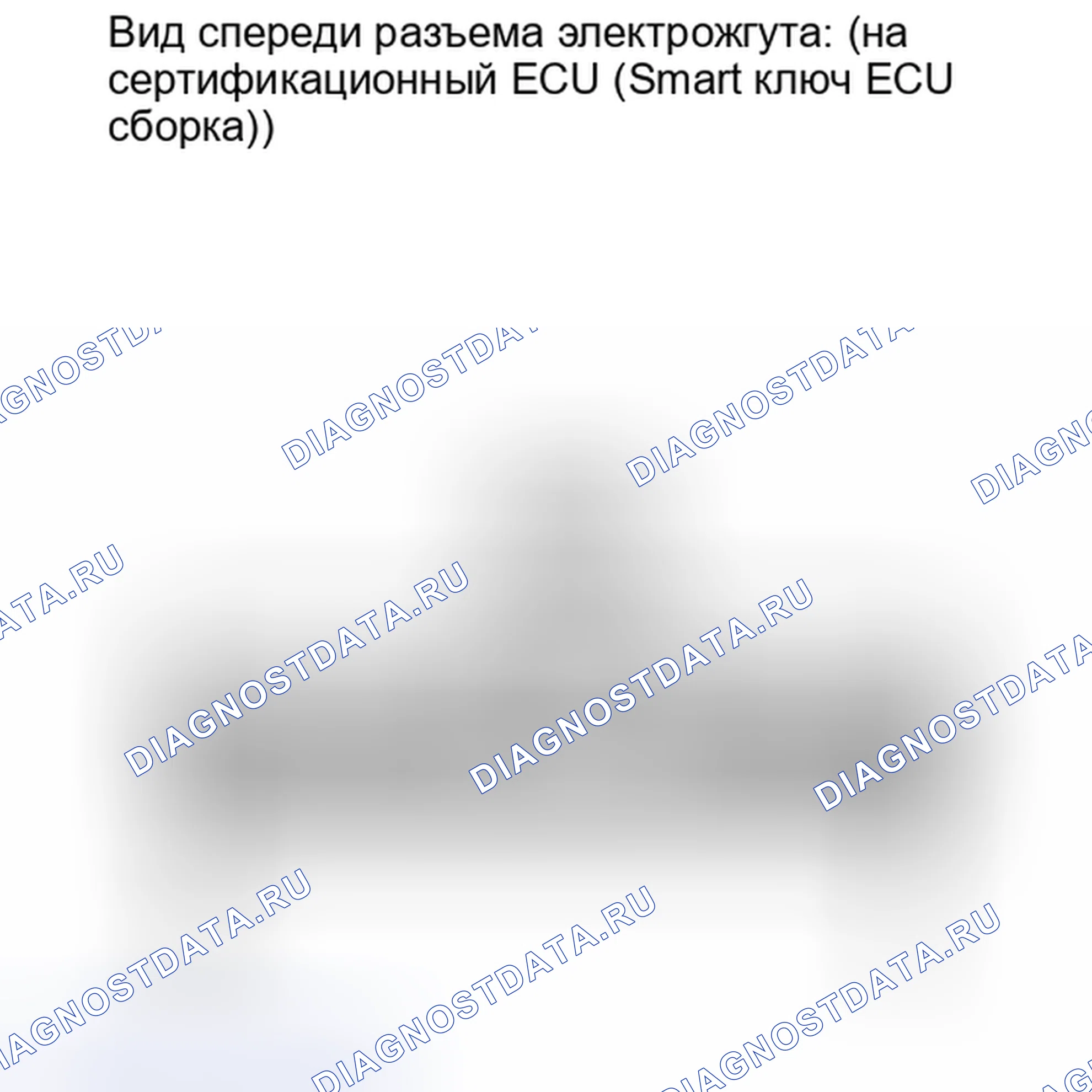 Рис. 269. Lexus IS F I