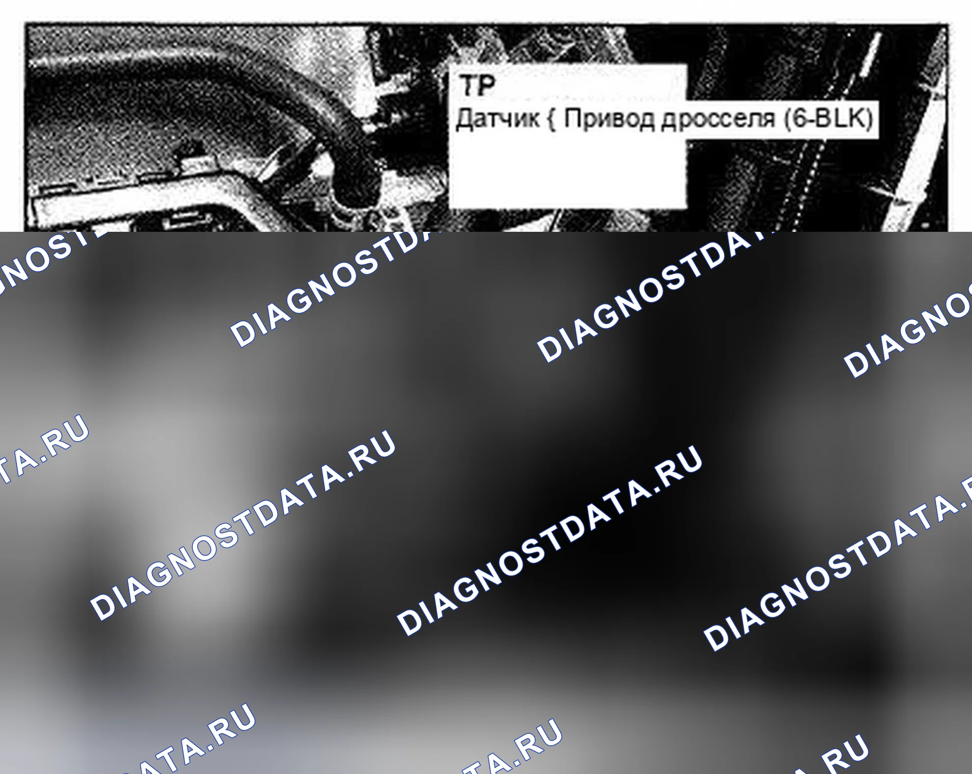 Рис. 306: Расположение компонентов впускного коллектора с левой стороны (фото 7). Honda Element YH2 рестайлинг 2
