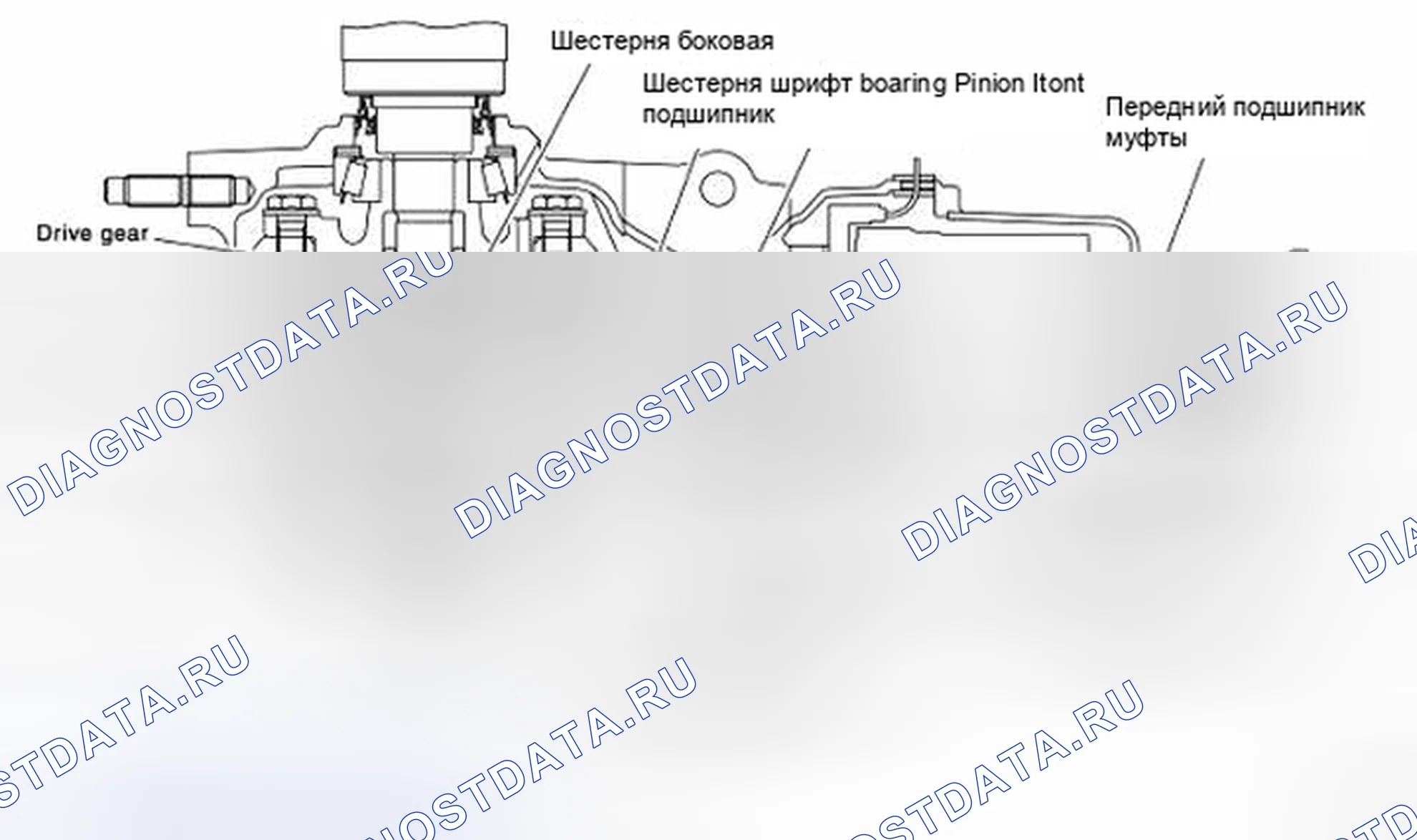 Рис. 12: Поперечное сечение. Nissan X-Trail I