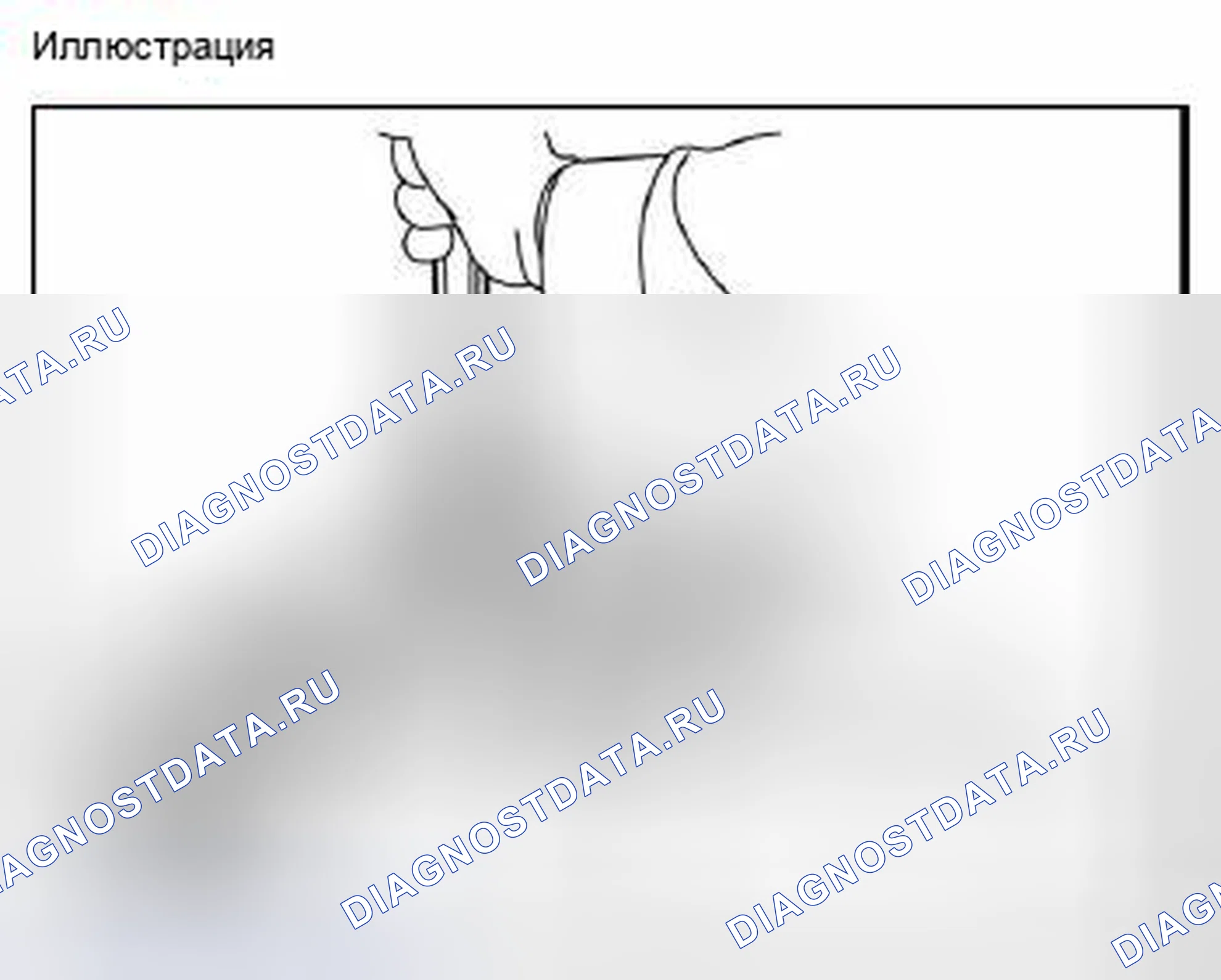 Рис. 317: Подсветка цилиндра ключа зажигания, вид с торца разъема усилителя ключа транспондера (I17). Toyota 4Runner IV рестайлинг
