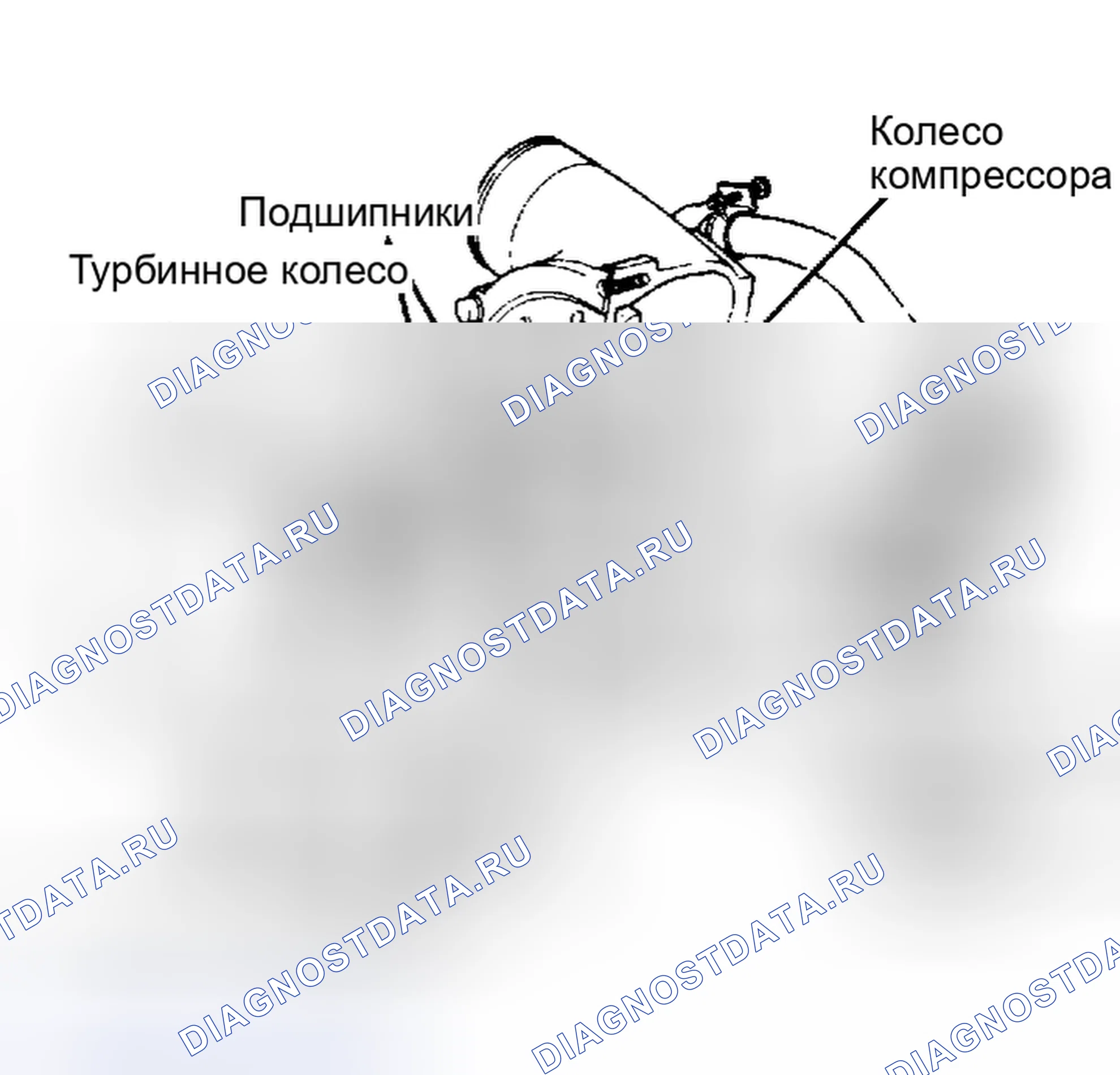 Рис. 29: Вид в разрезе турбокомпрессора 1.6L. Ford Escort III