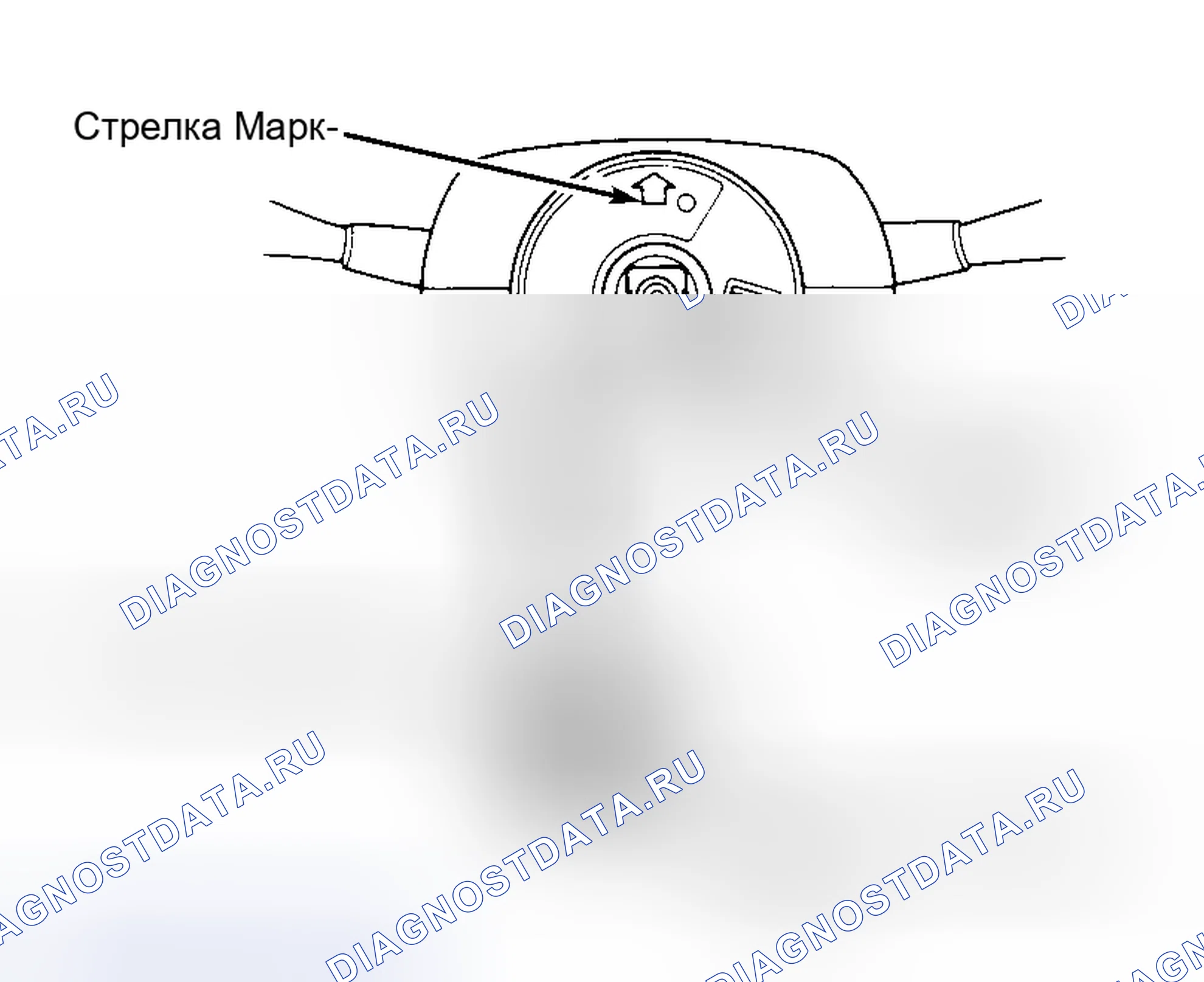Рис. 6: Legend и Vigor. Acura Integra II