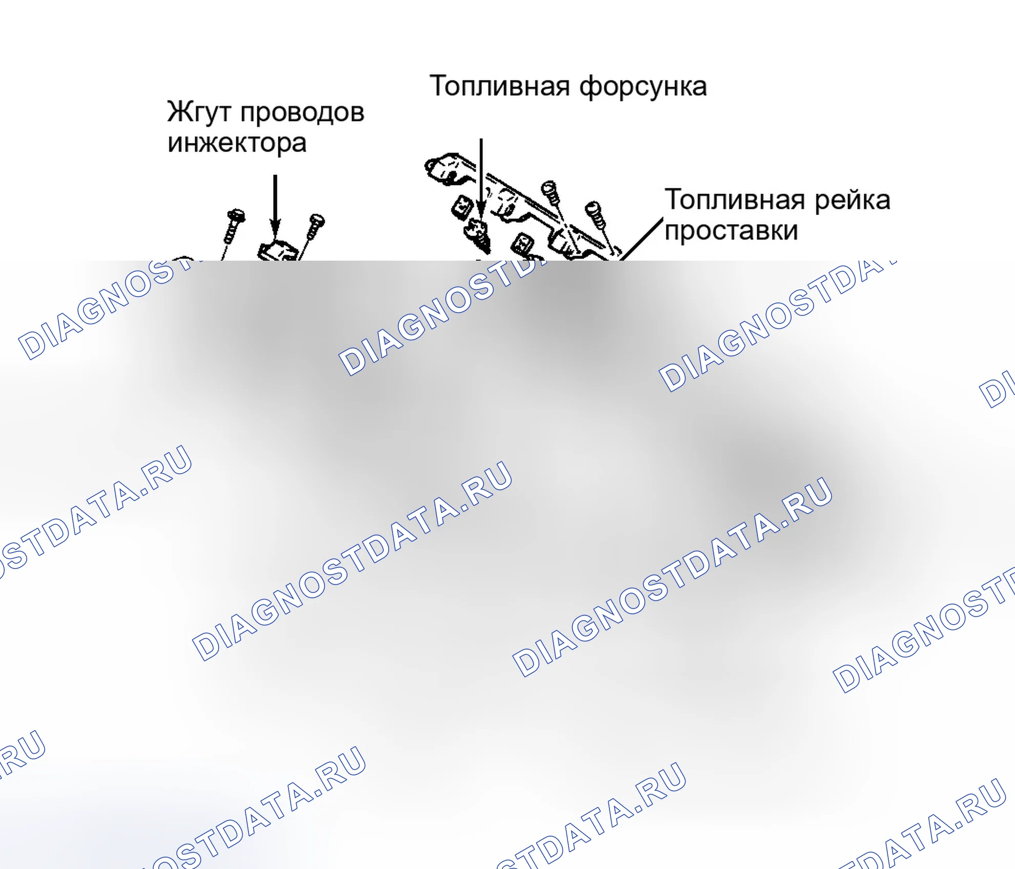 Рис. 5: ТОПЛИВНЫЕ РЕЙКИ. Ford Escort V рестайлинг 2
