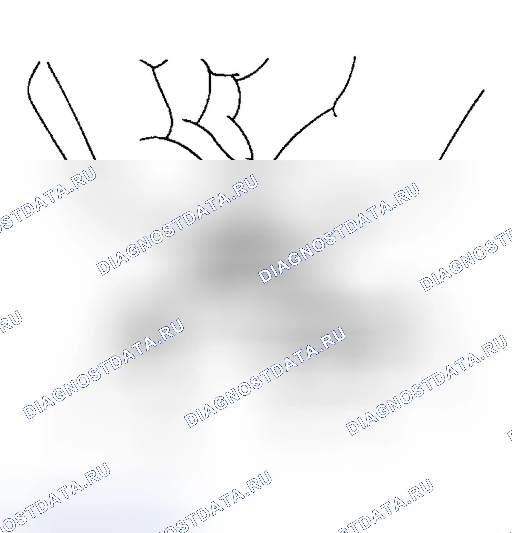 Рис. 29. Honda Odyssey (North America) I