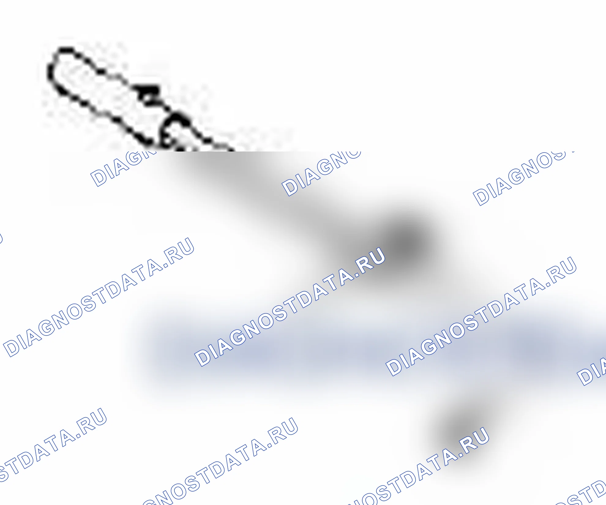 Рис. 78. Suzuki Grand Vitara II