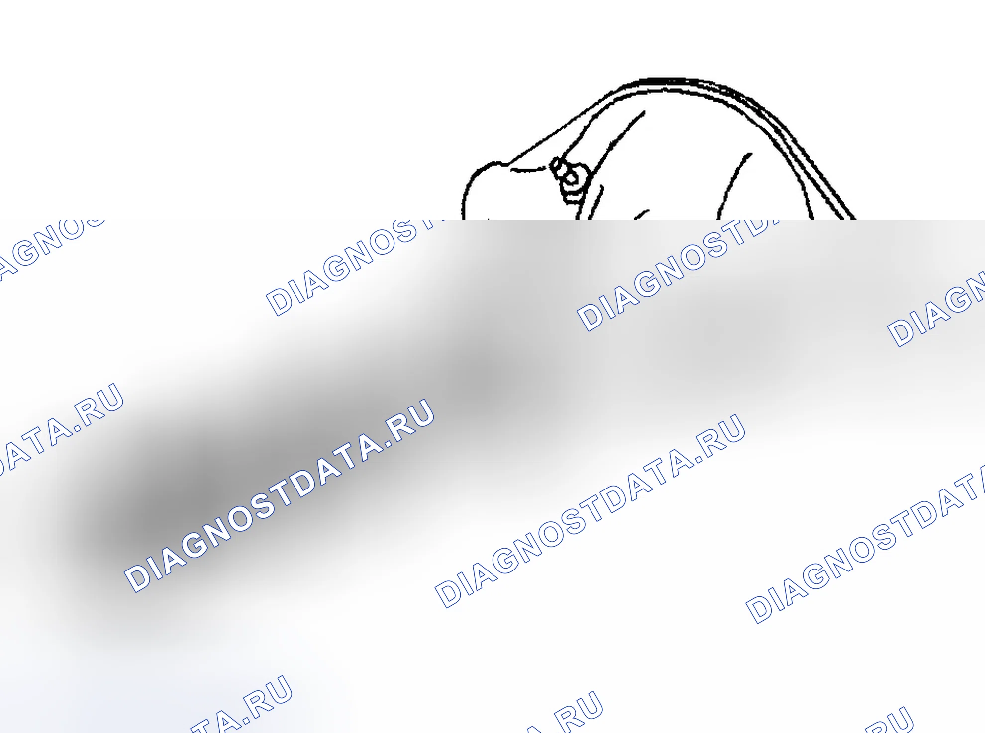 Рис. 17. Chevrolet TrailBlazer I