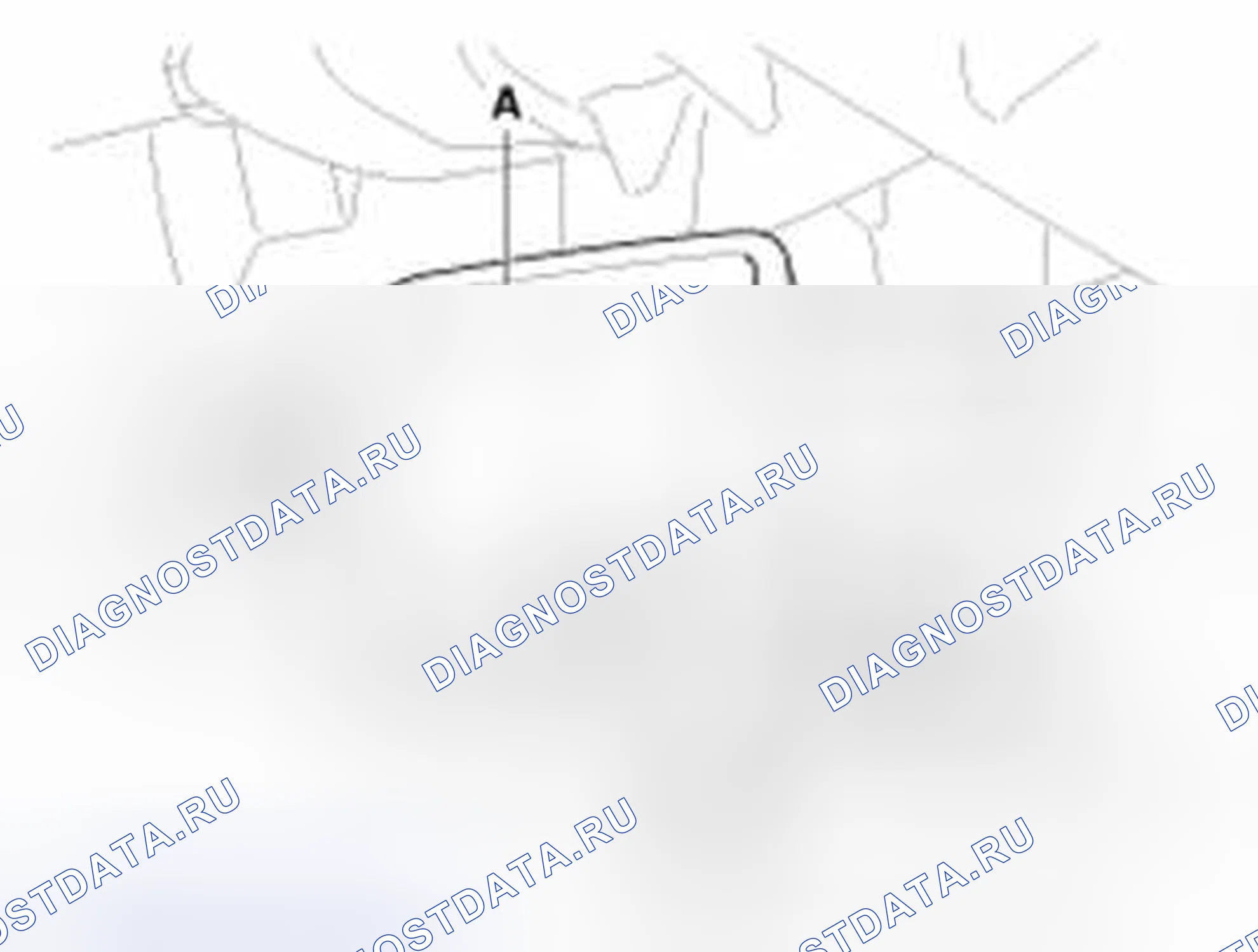 Рис. 161. Haval Beast (Shenshou) I
