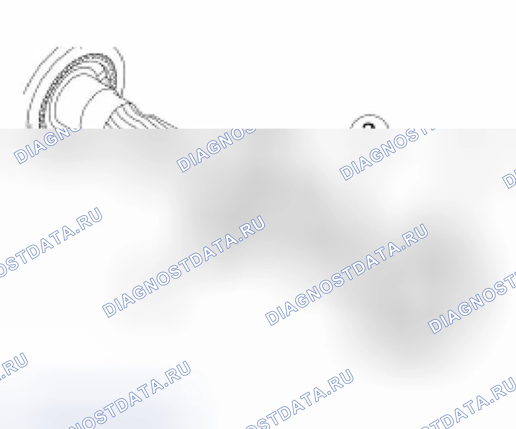 Рис. 246. Ford Focus I рестайлинг
