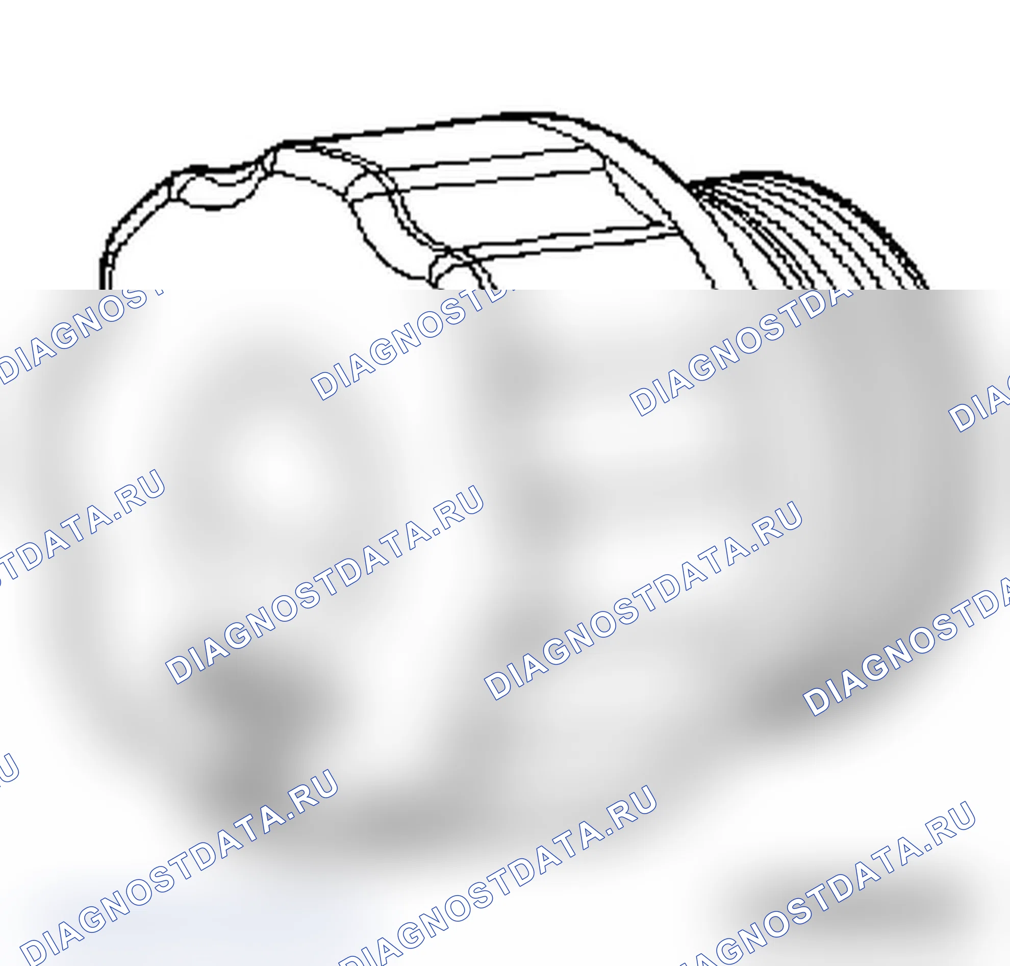 Трансмиссионное масло. Opel Vectra C