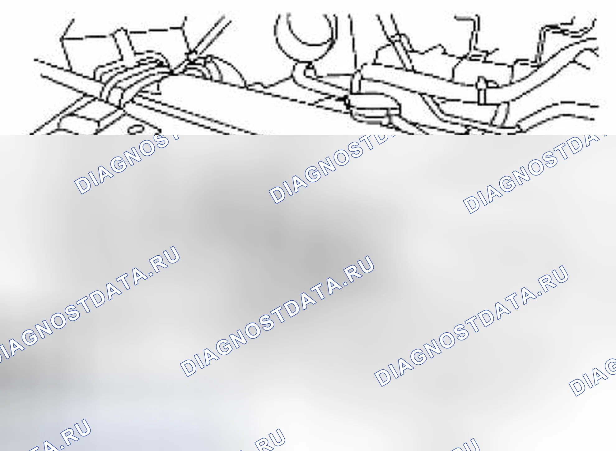 Рис. 2. Suzuki Equator I