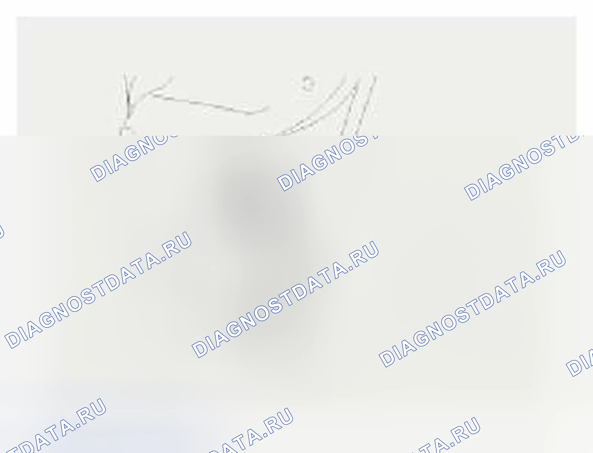 Рис. 4. Hyundai Veloster I