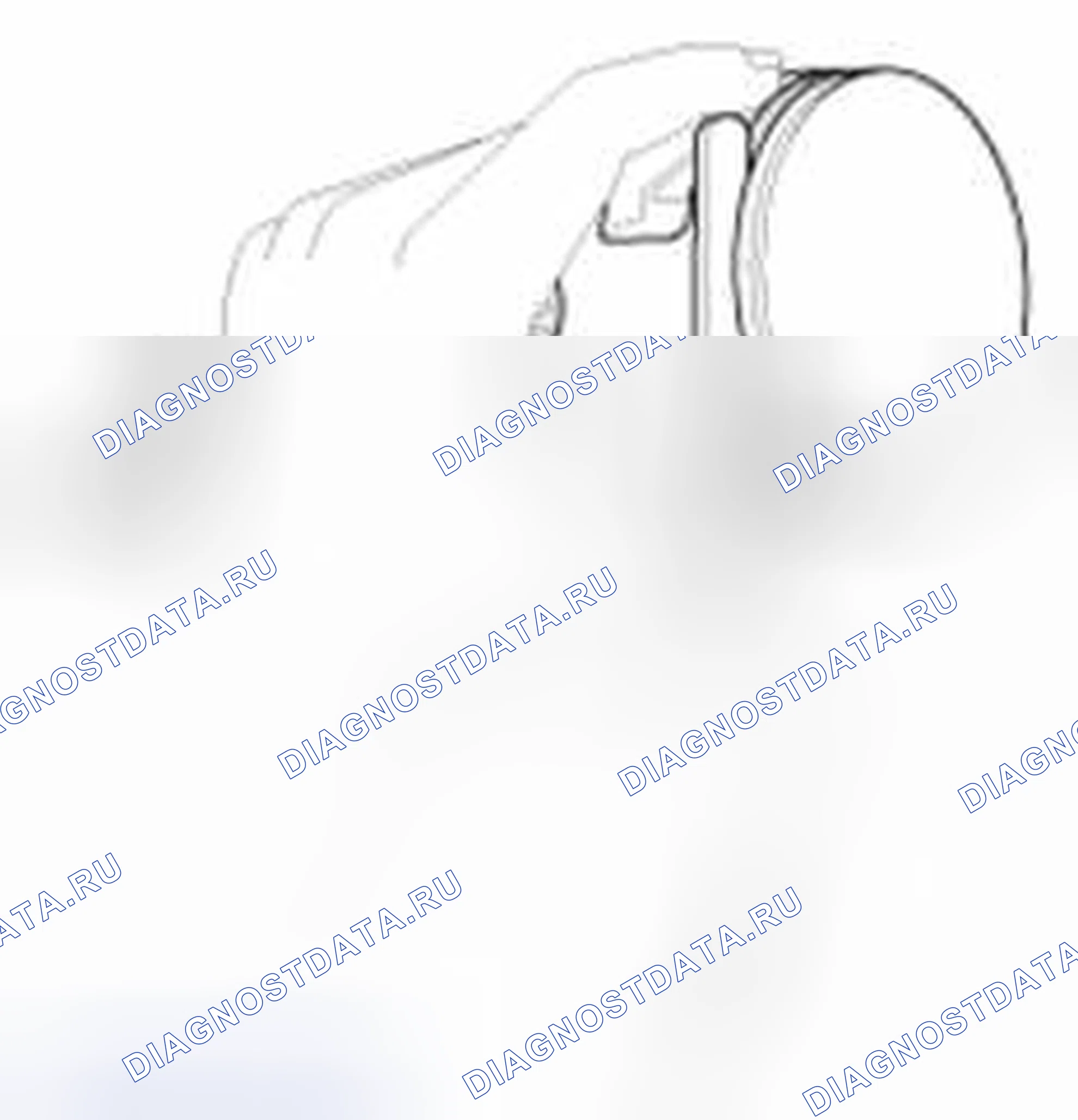 Рис. 201. Geely SC7 I
