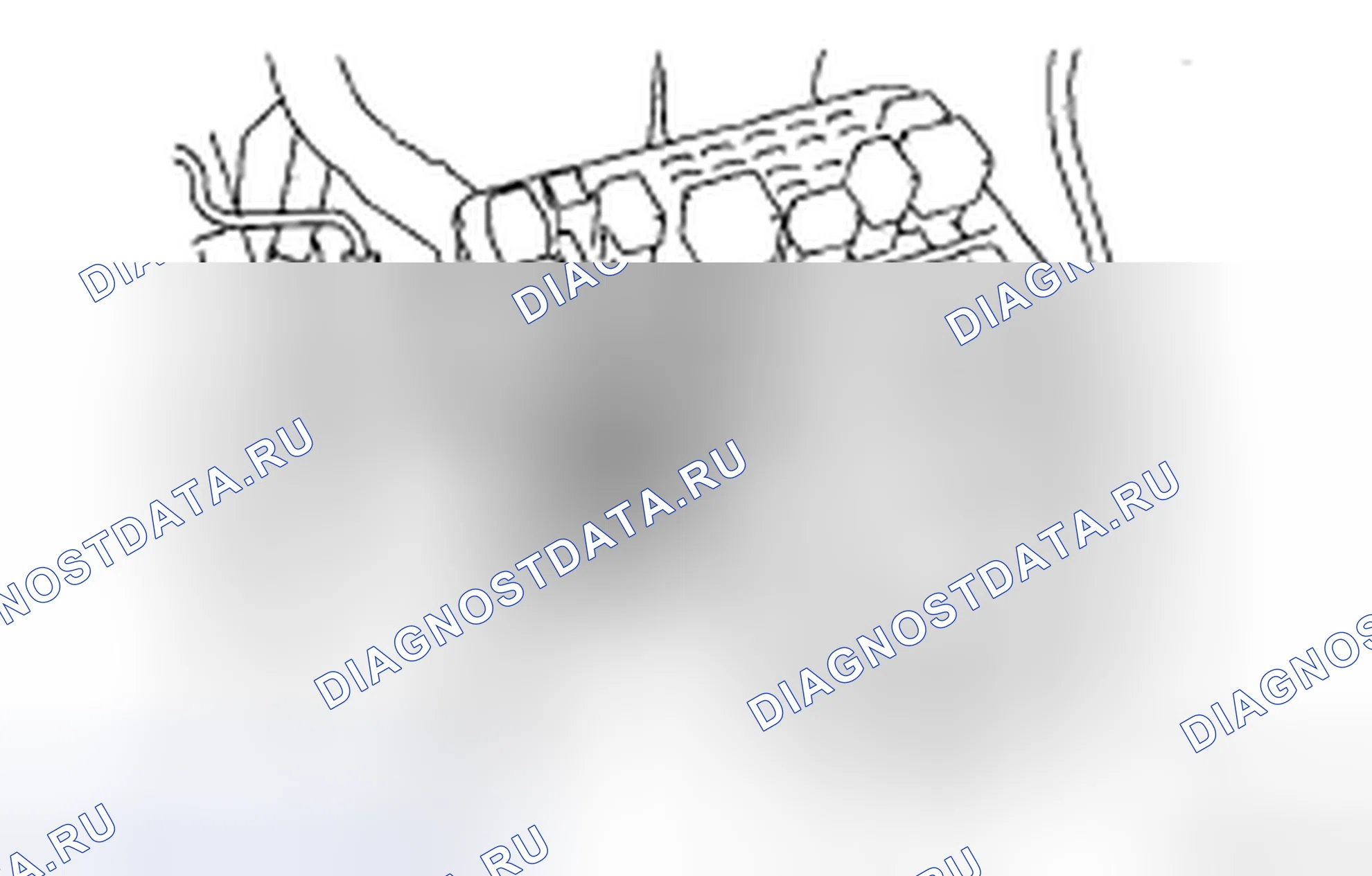 Рис. 66. Toyota Sienna II рестайлинг
