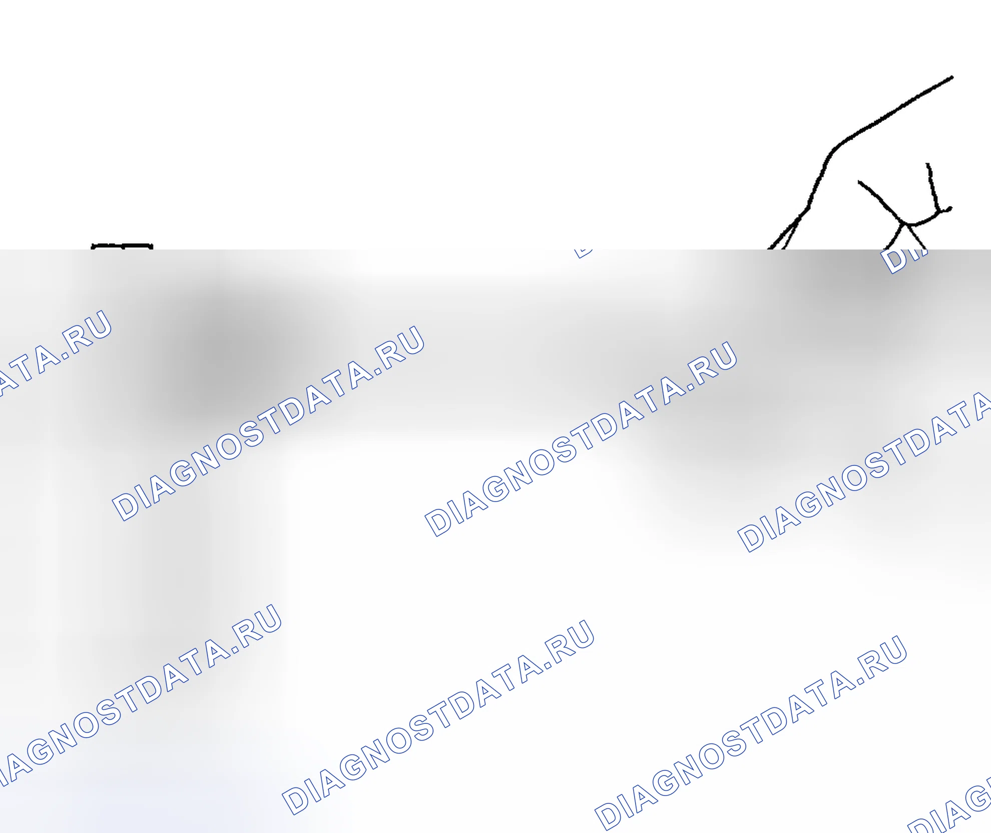 Рис. 1661. Hyundai Terracan I