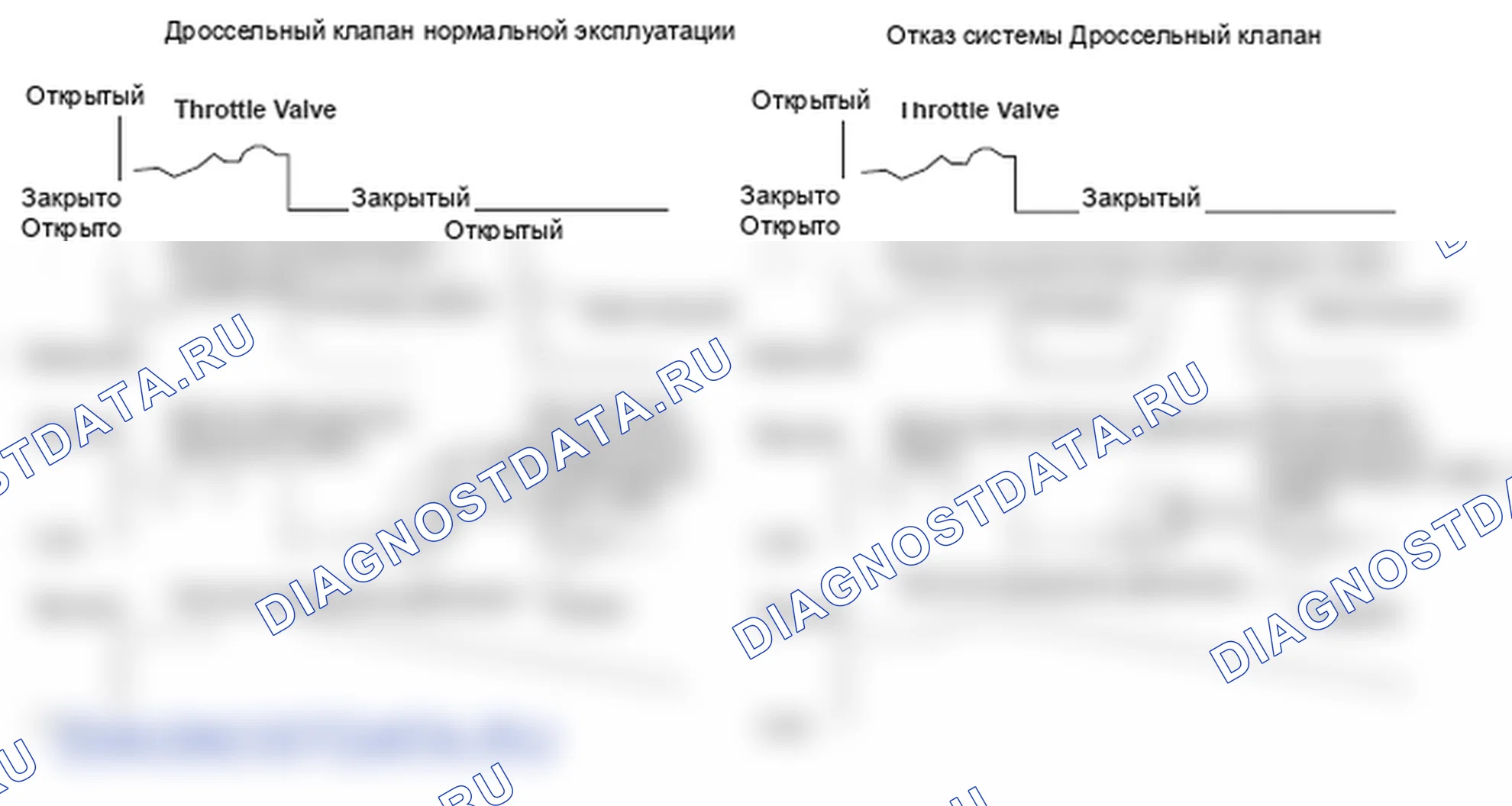 Рис. 153: График работы клапана рециркуляции отработавших газов. Honda Ridgeline I