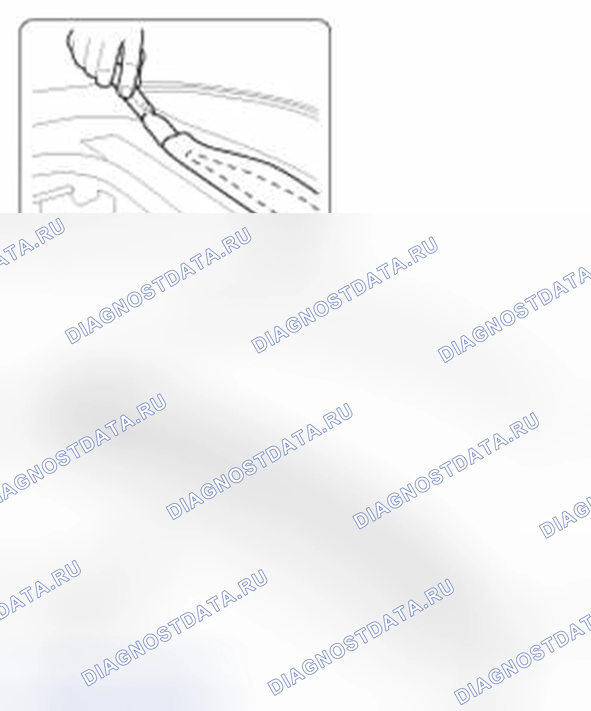 Рис. 107. Haval Beast (Shenshou) I