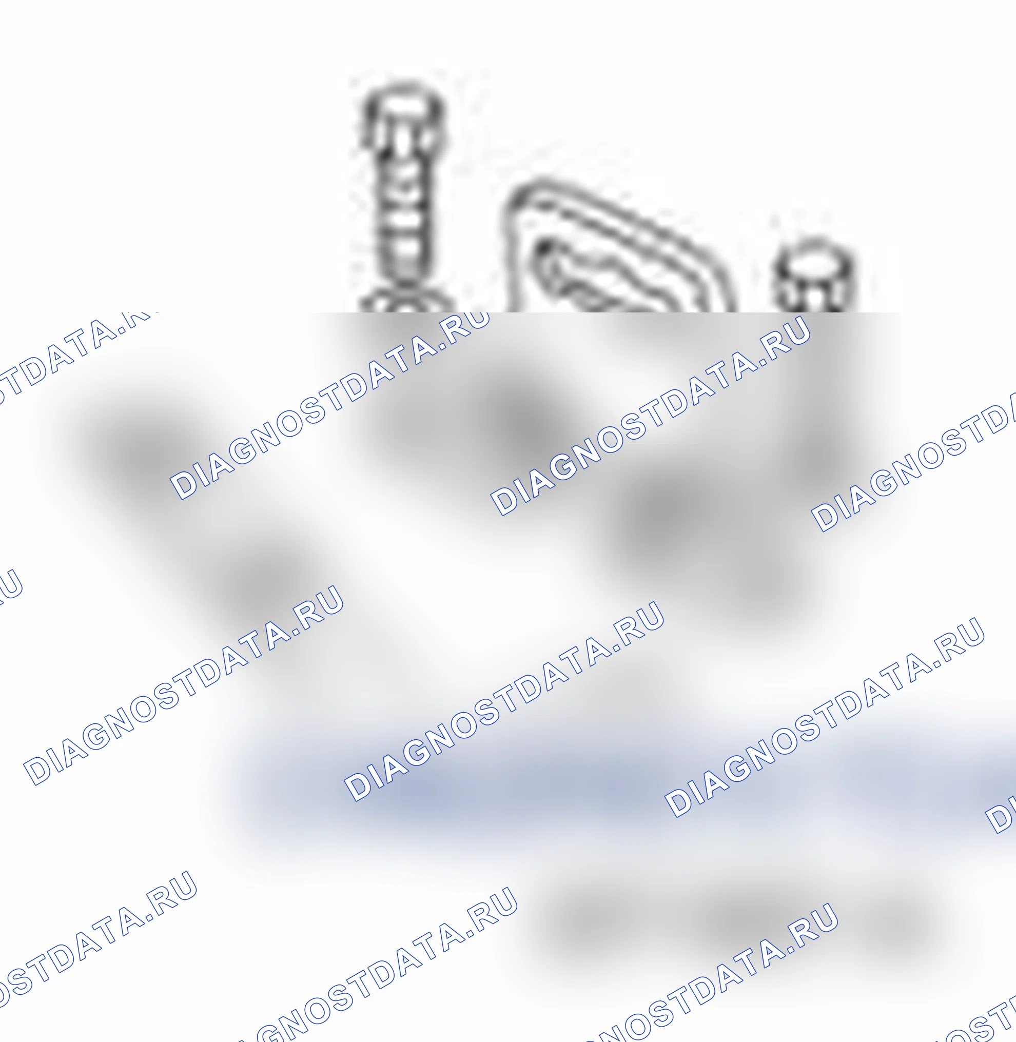 Рис. 304. Ford Transit Connect I рестайлинг