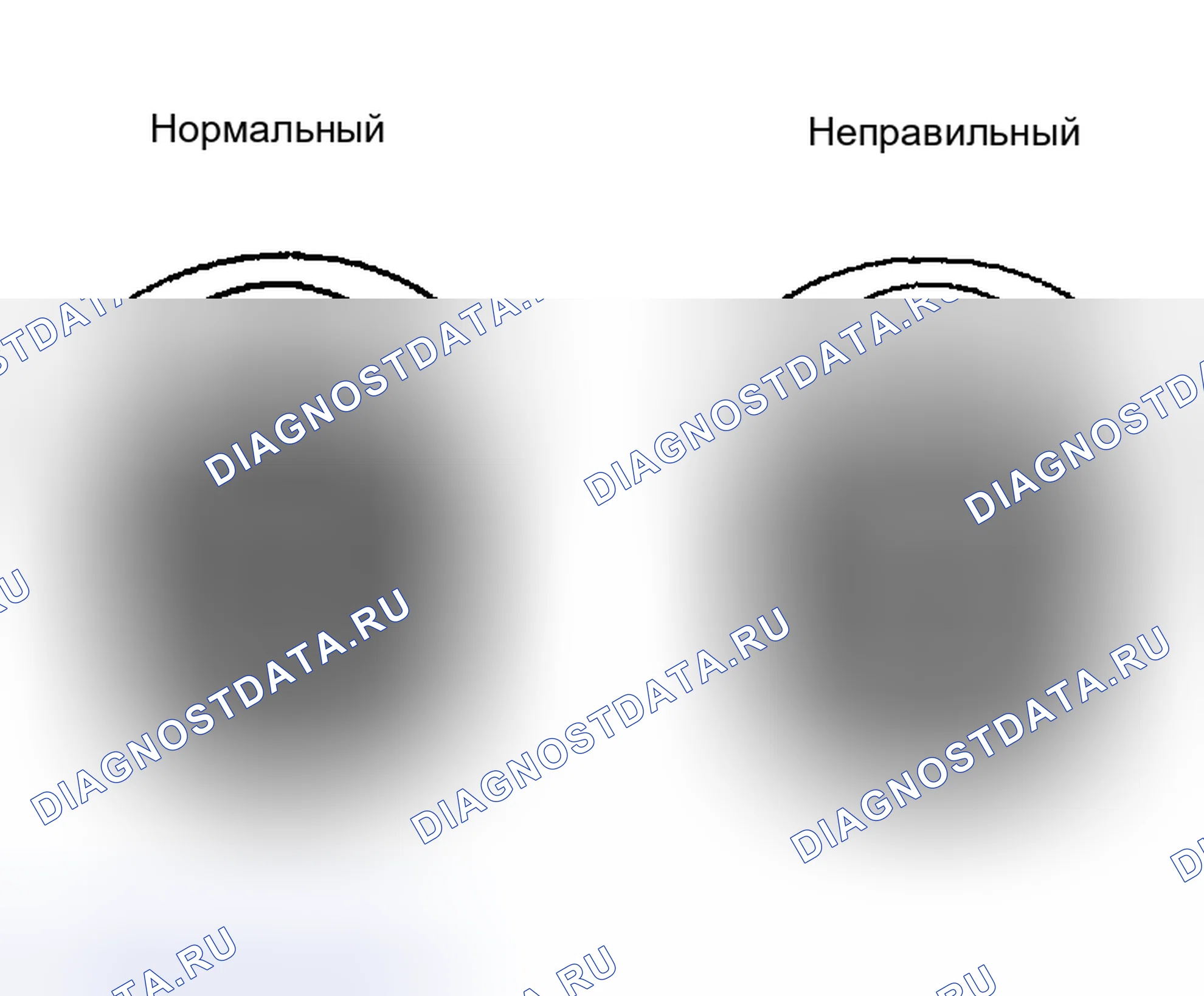 Рис. 5. Kia Soul III рестайлинг