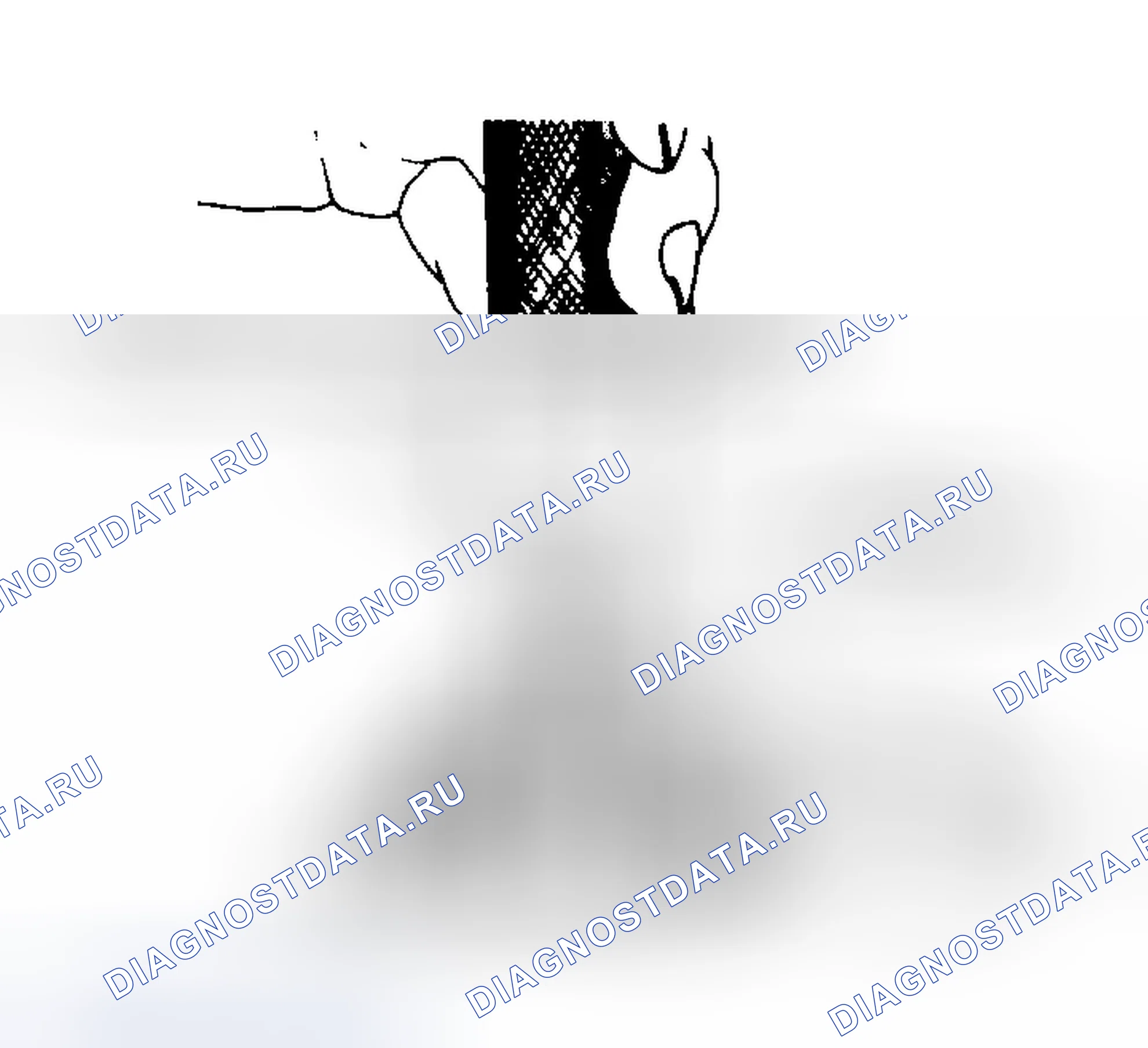 Рис. 24. Chrysler New Yorker XIII