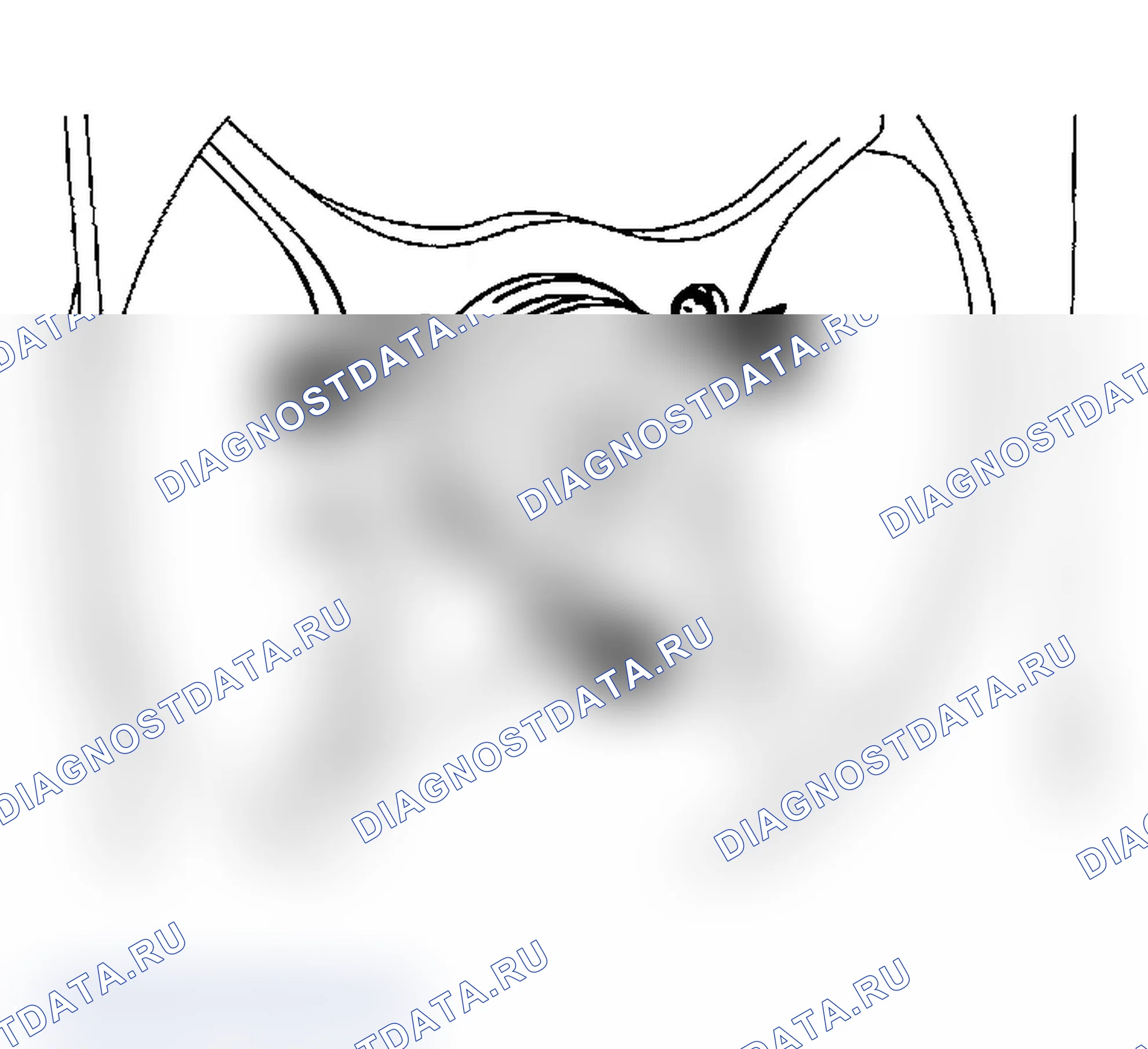 Рис. 115. Subaru Impreza WRX GD/GG рестайлинг