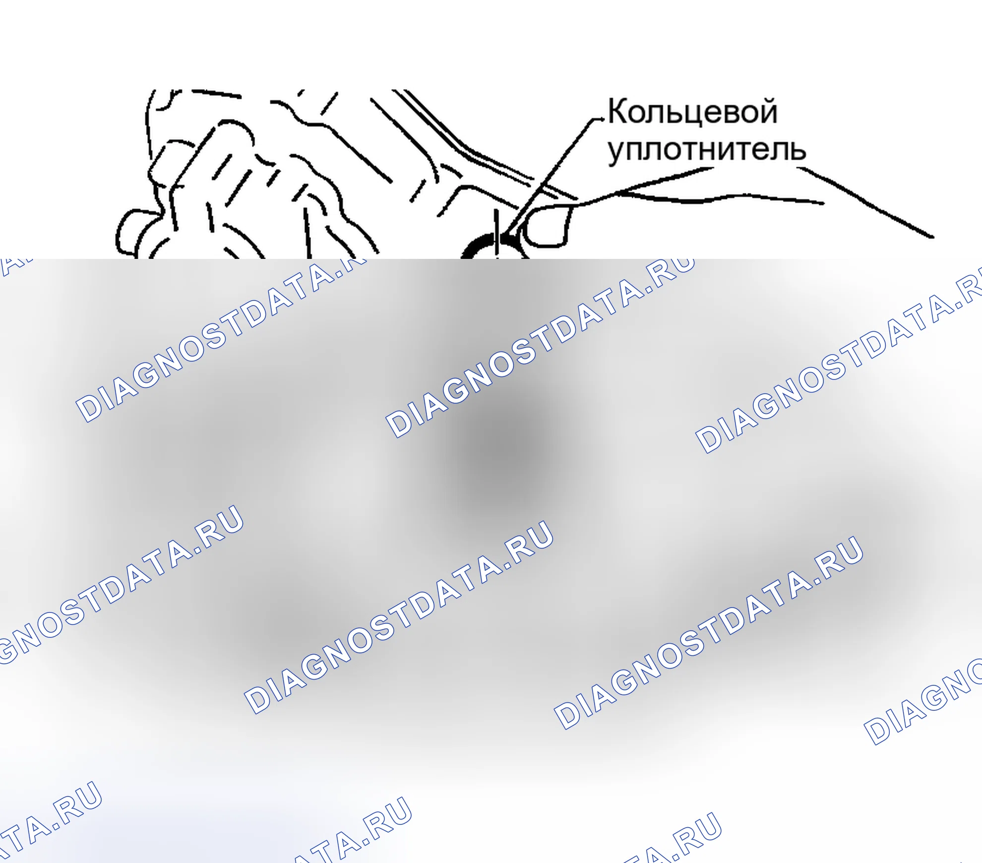 Рис. 1037. Nissan Sentra B15