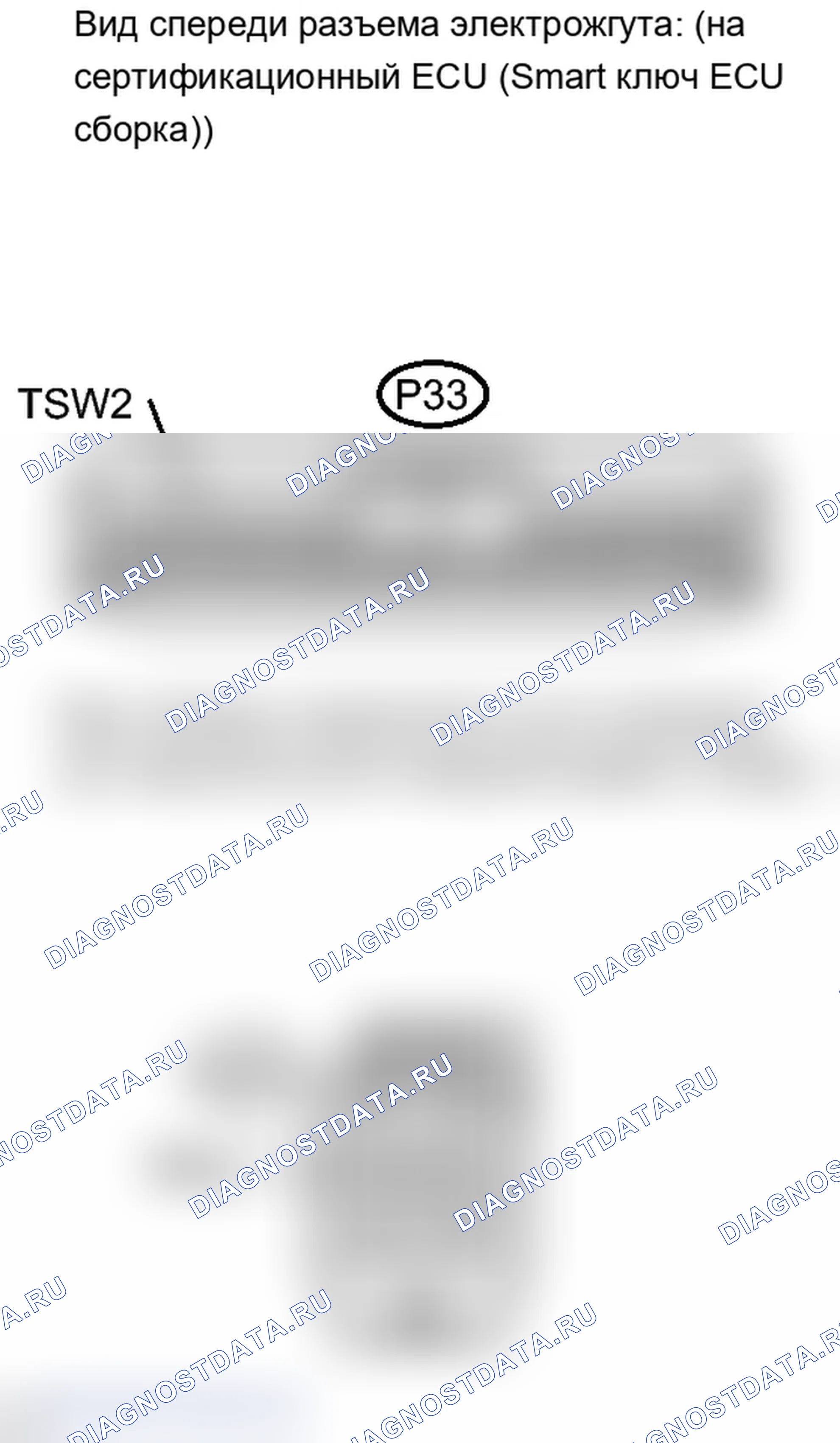 Рис. 265. Lexus IS F I